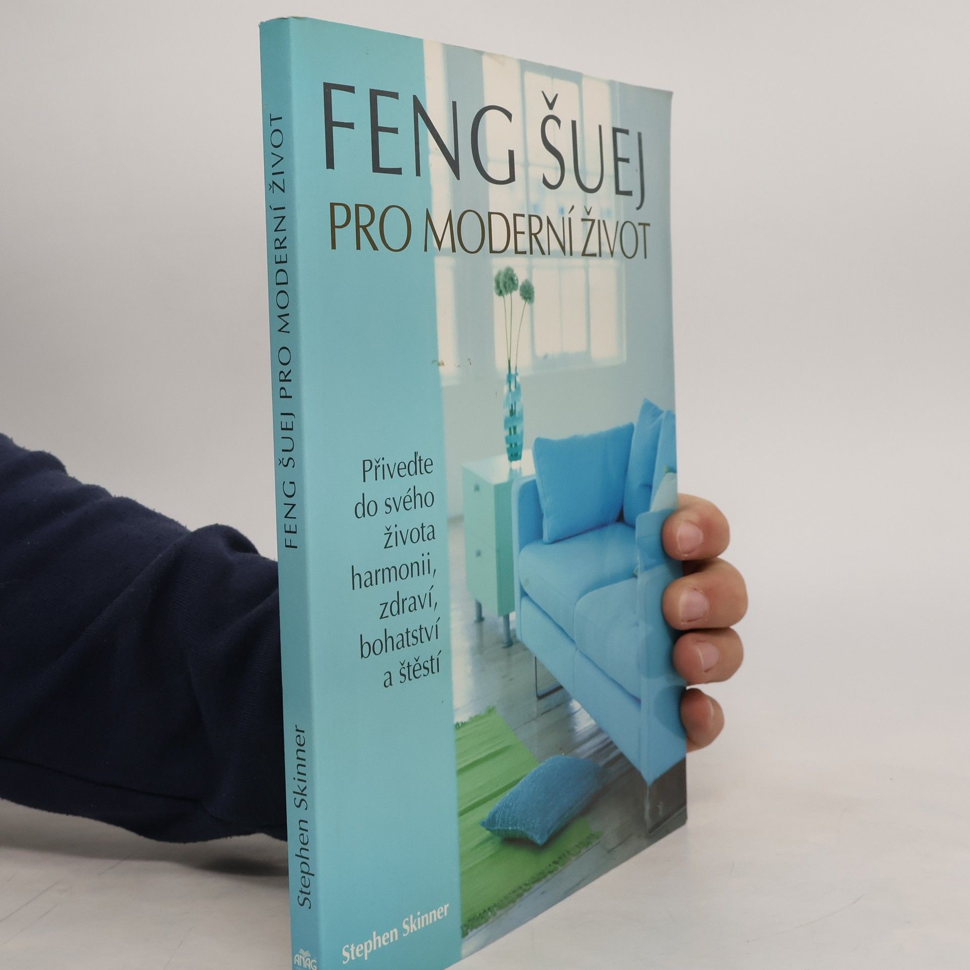 Stephen Skinner Feng šuej pro moderní život