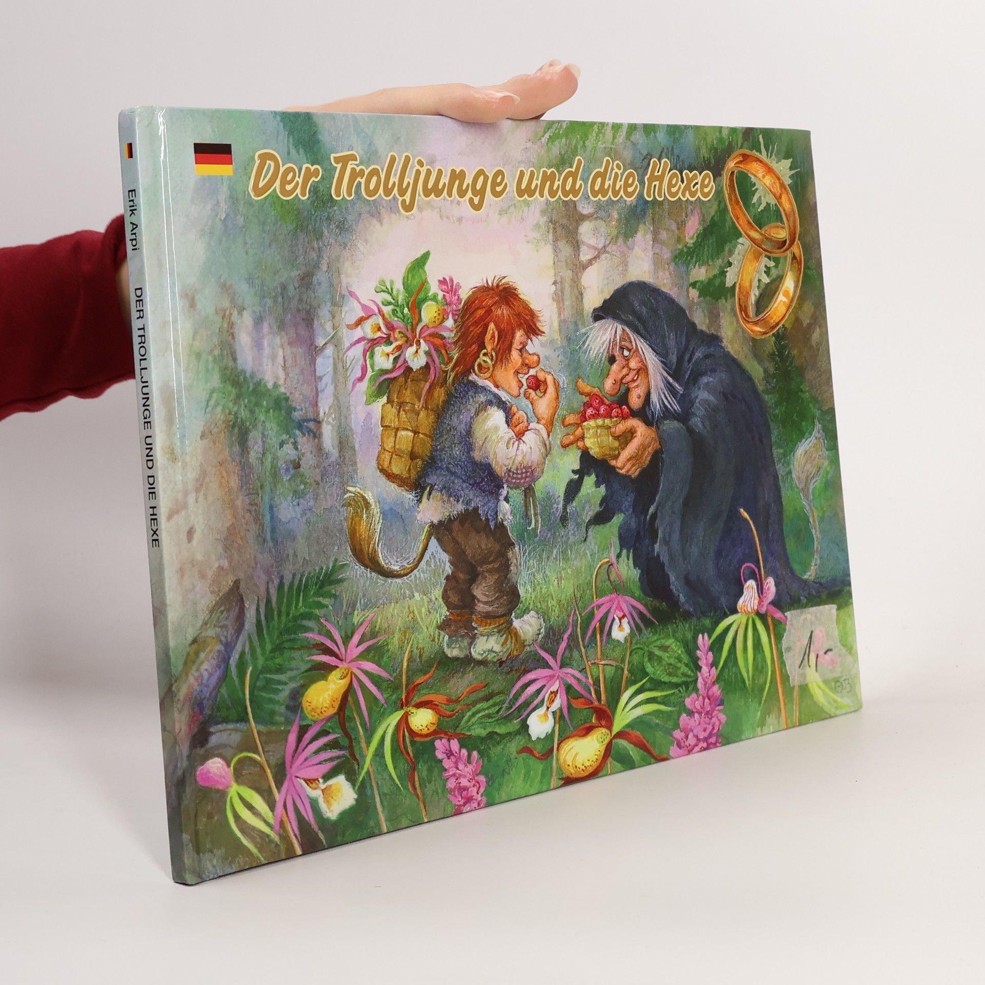 Autorenkollektiv Der Trolljunge und die Hexe