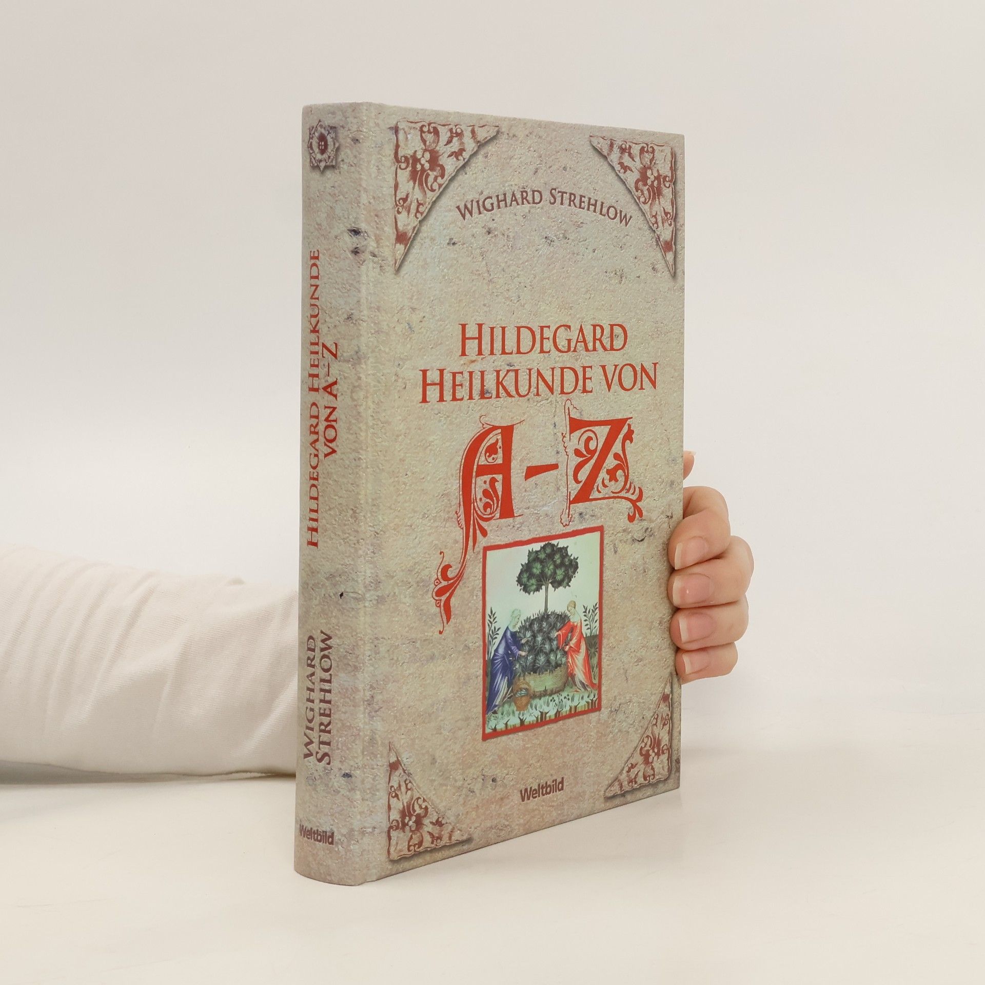 Hildegard Heilkunde von A-Z