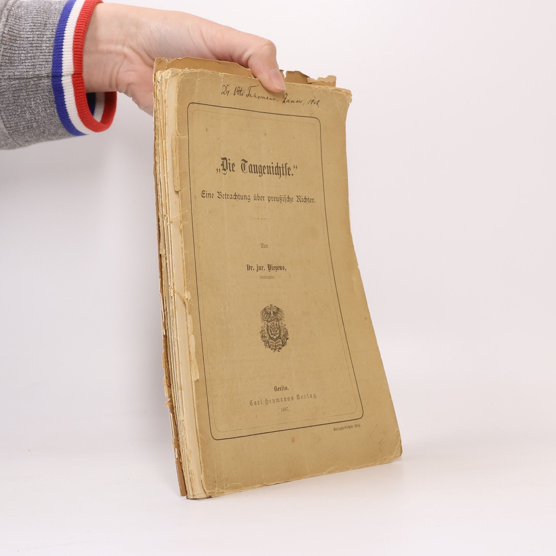 R. Viezens Die Taugenichtse