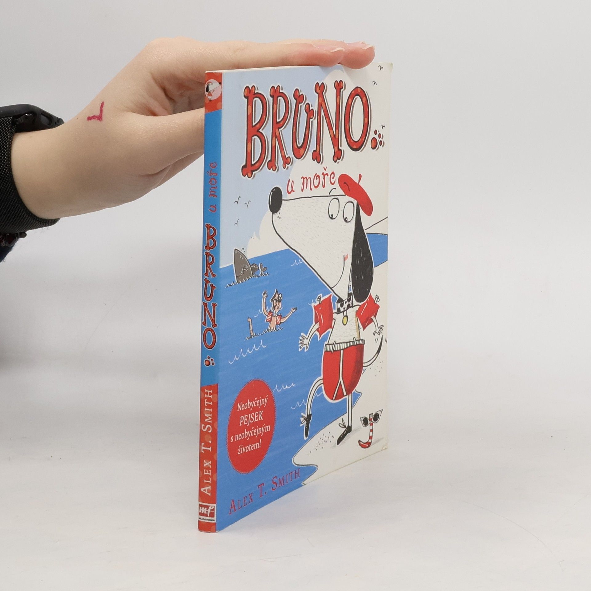 Alex T. Smith Bruno u moře