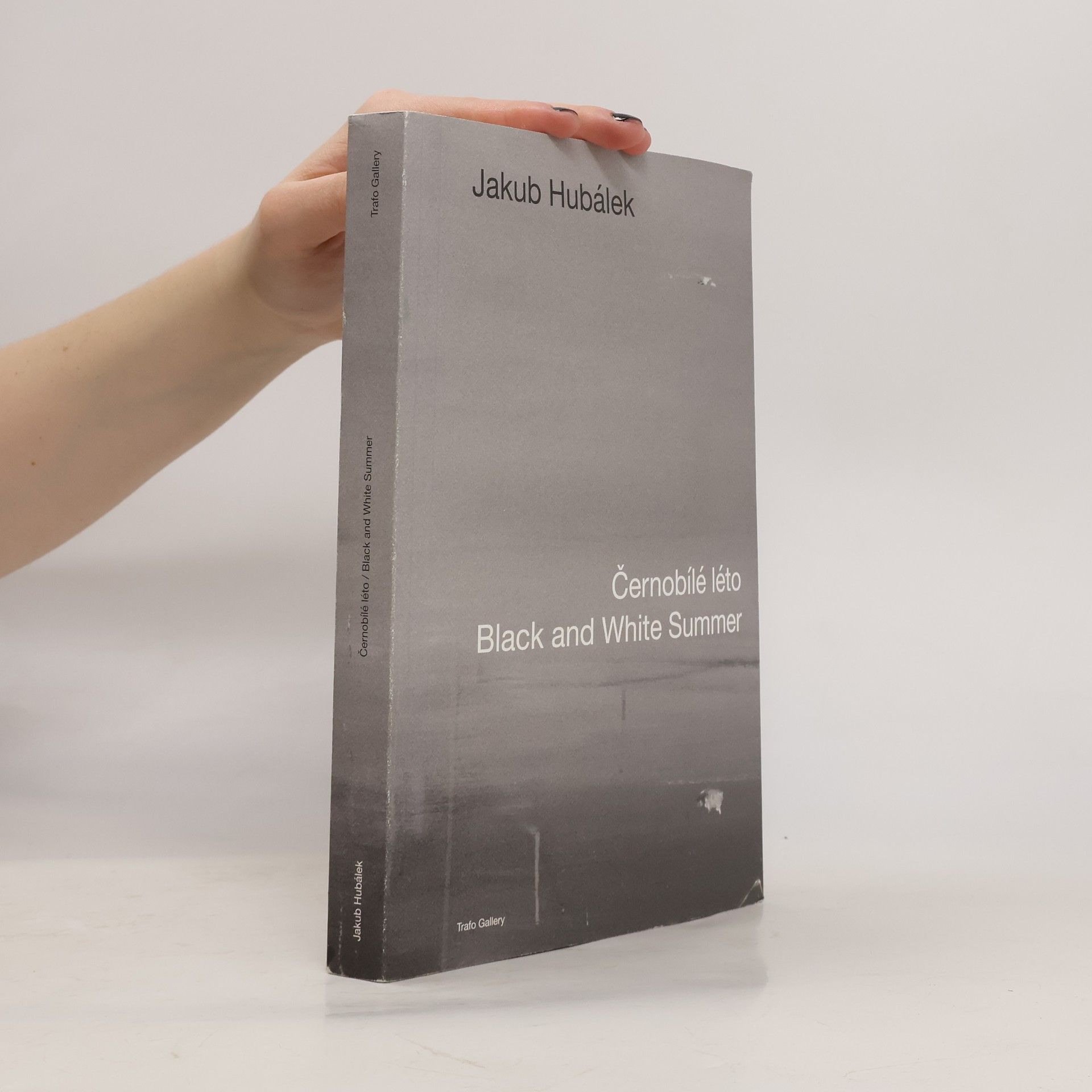 Jakub Hubálek Černobílé léto. Black and White Summer