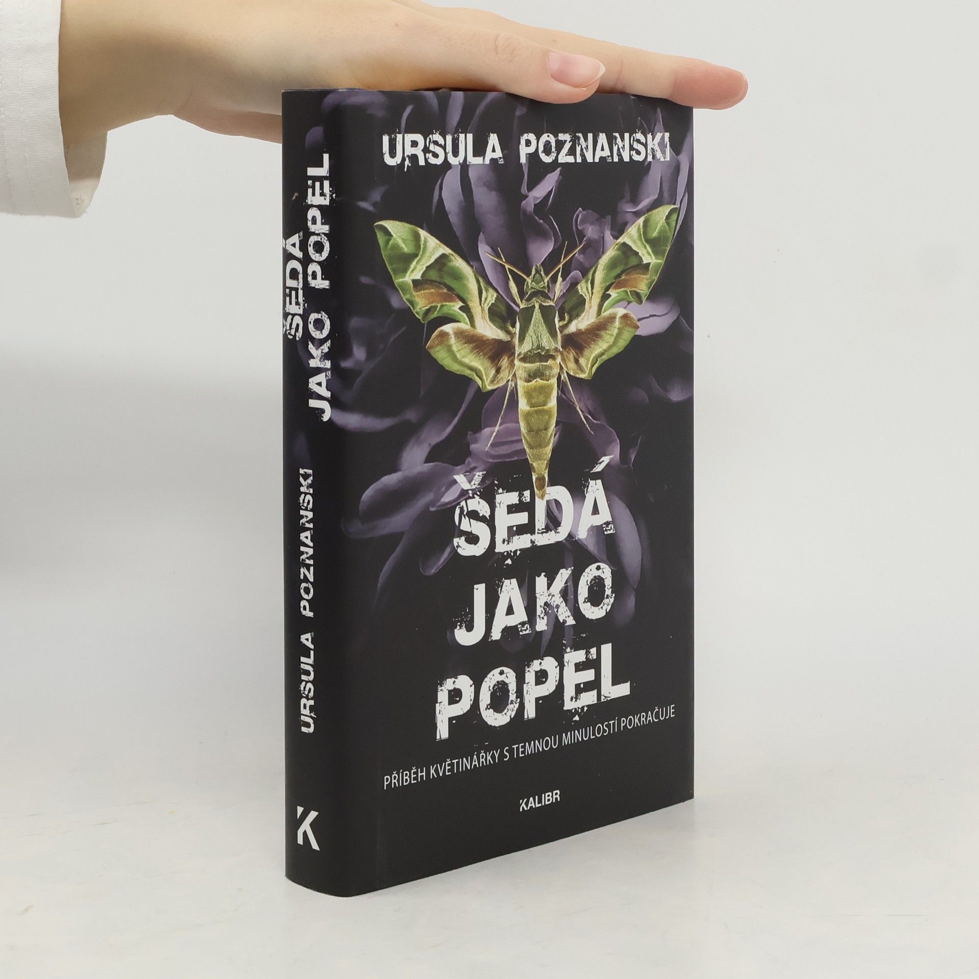 Ursula Poznanski Šedá jako popel