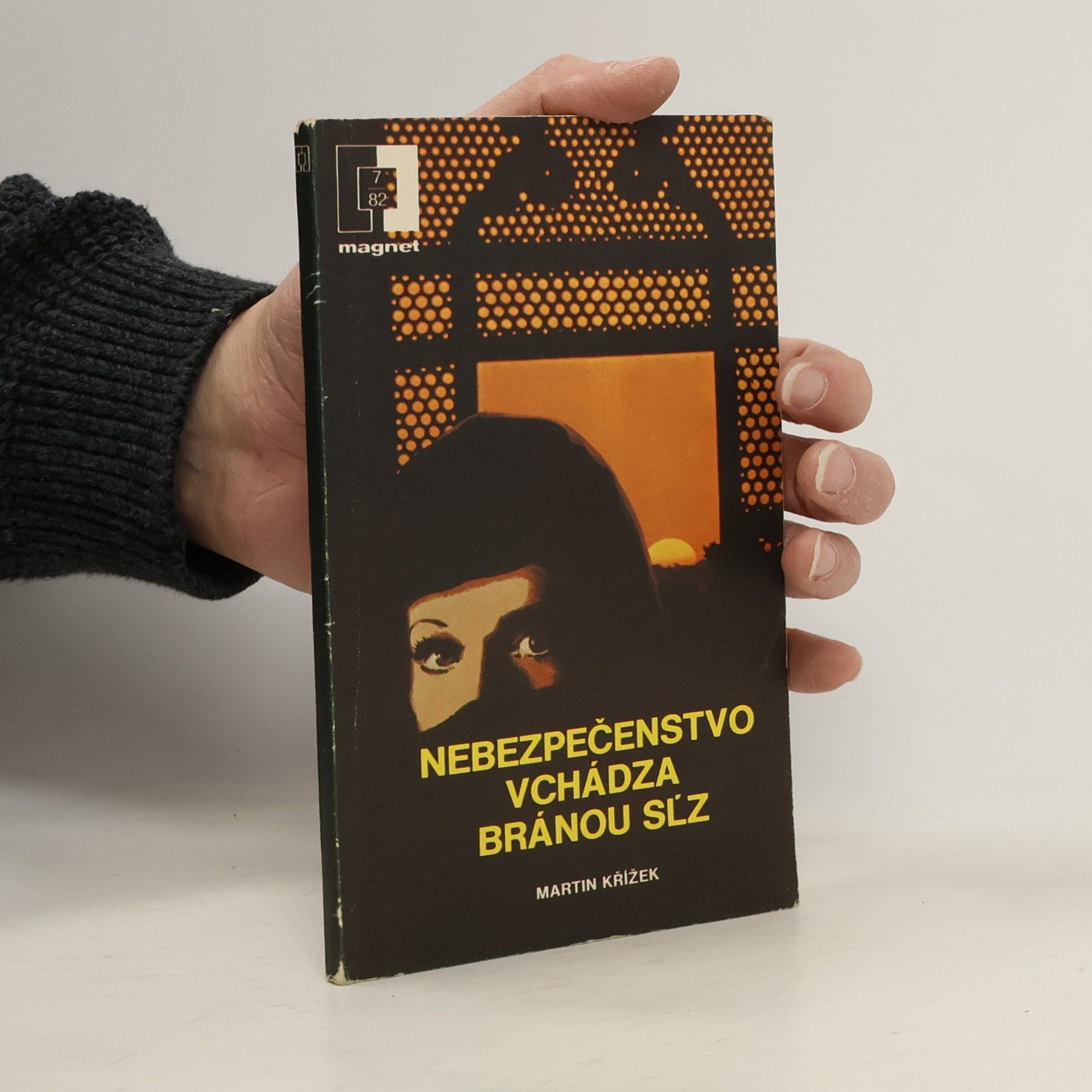 Martin Křížek Nebezpečenstvo vchádza bránou sĺz