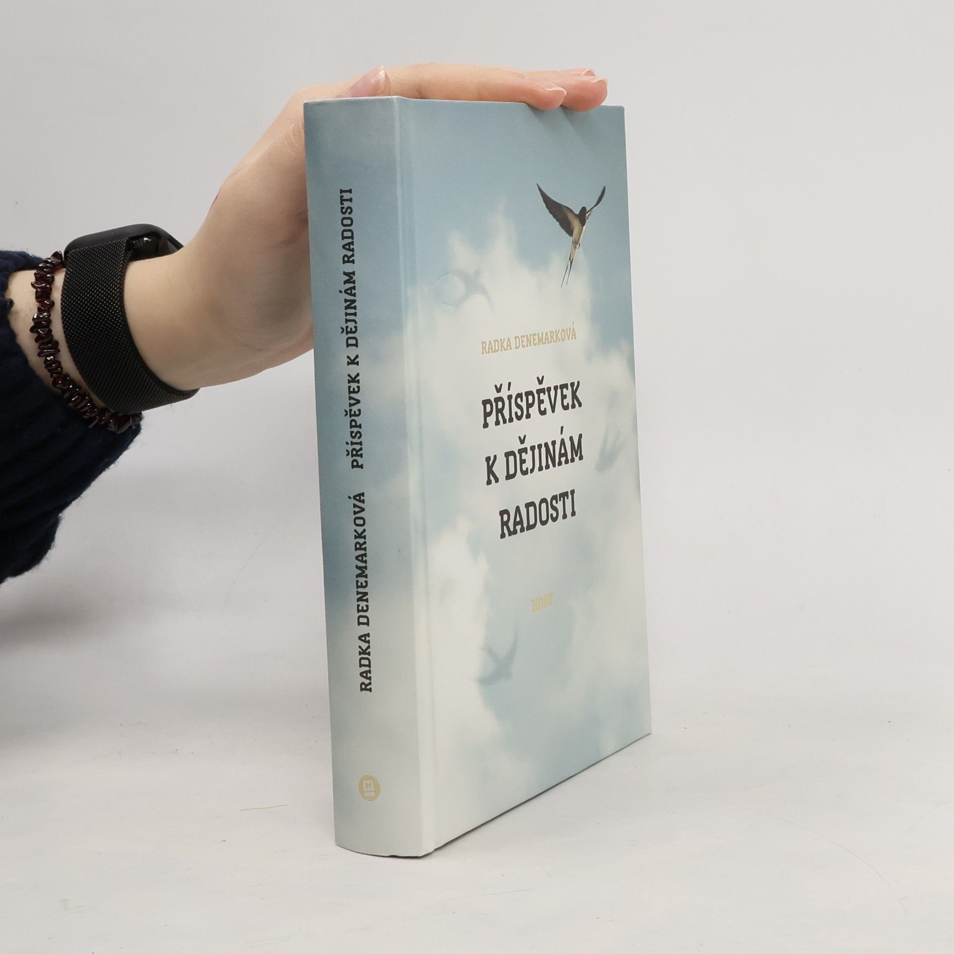 Radka Denemarková Příspěvek k dějinám radosti