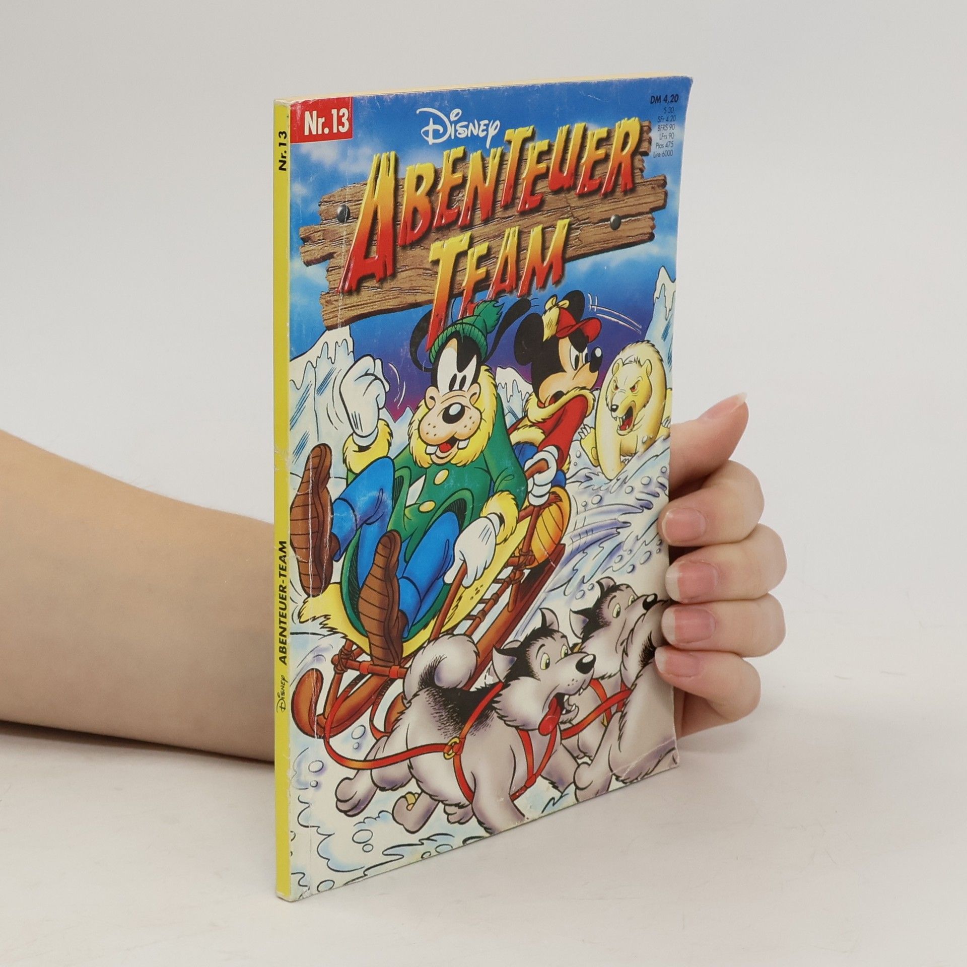 Kolektiv autorů Abenteuer Team 13.