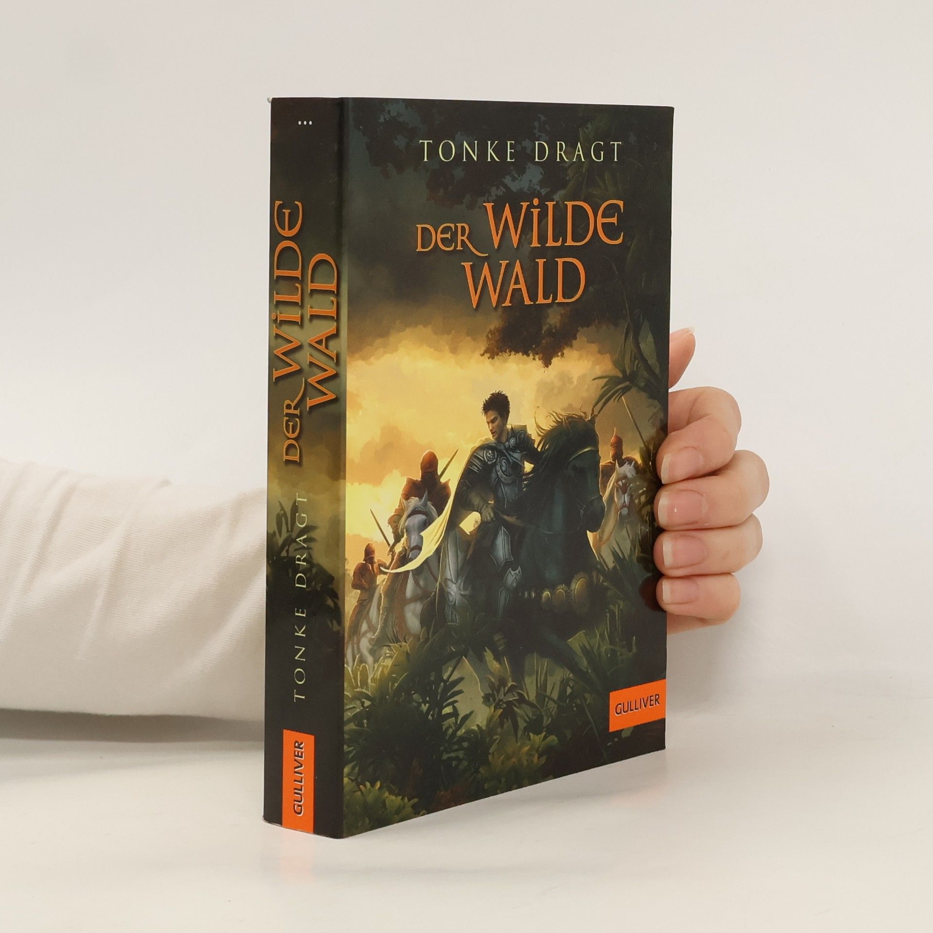 Tonke Dragt Der wilde Wald