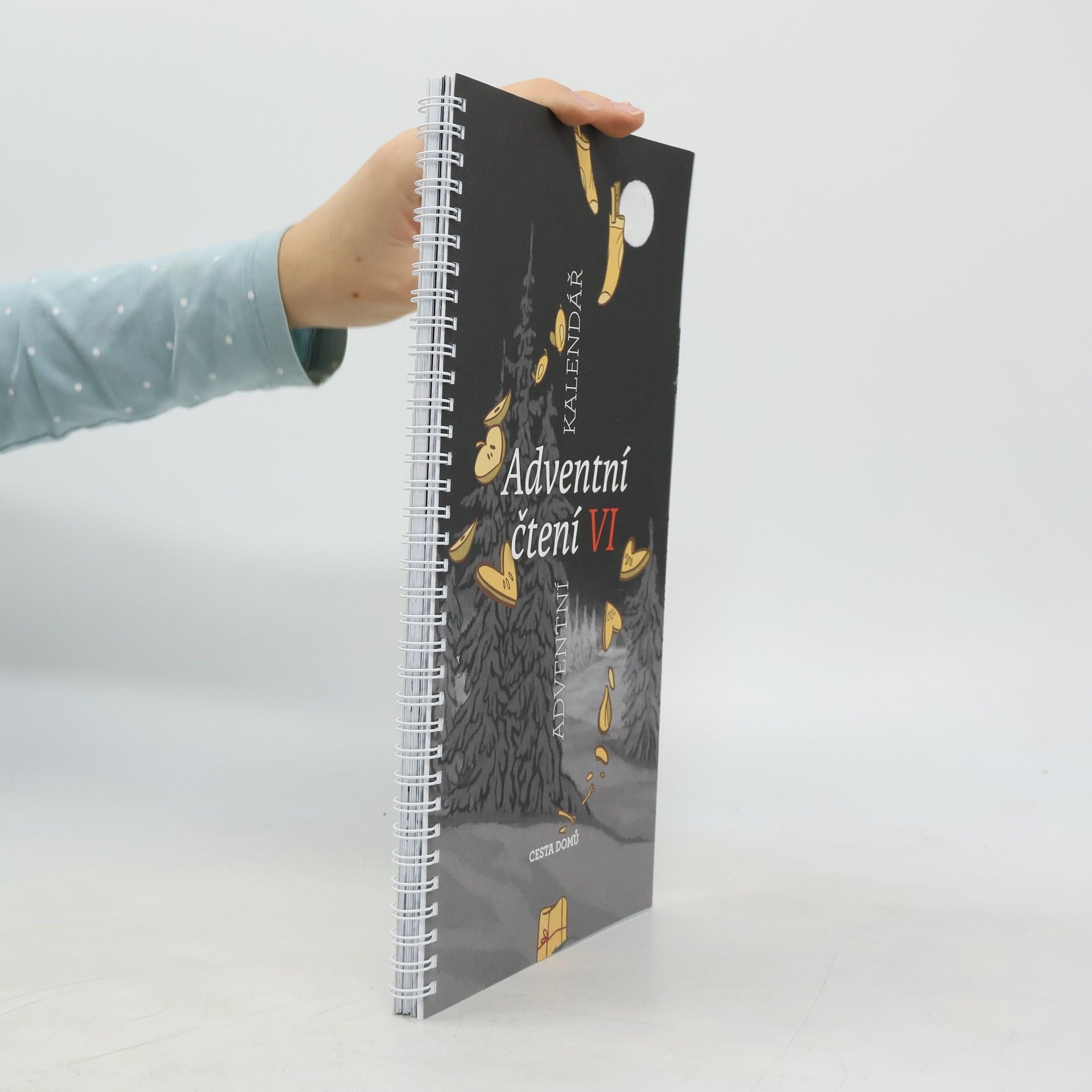 Adventní čtení VI : adventní kalendář