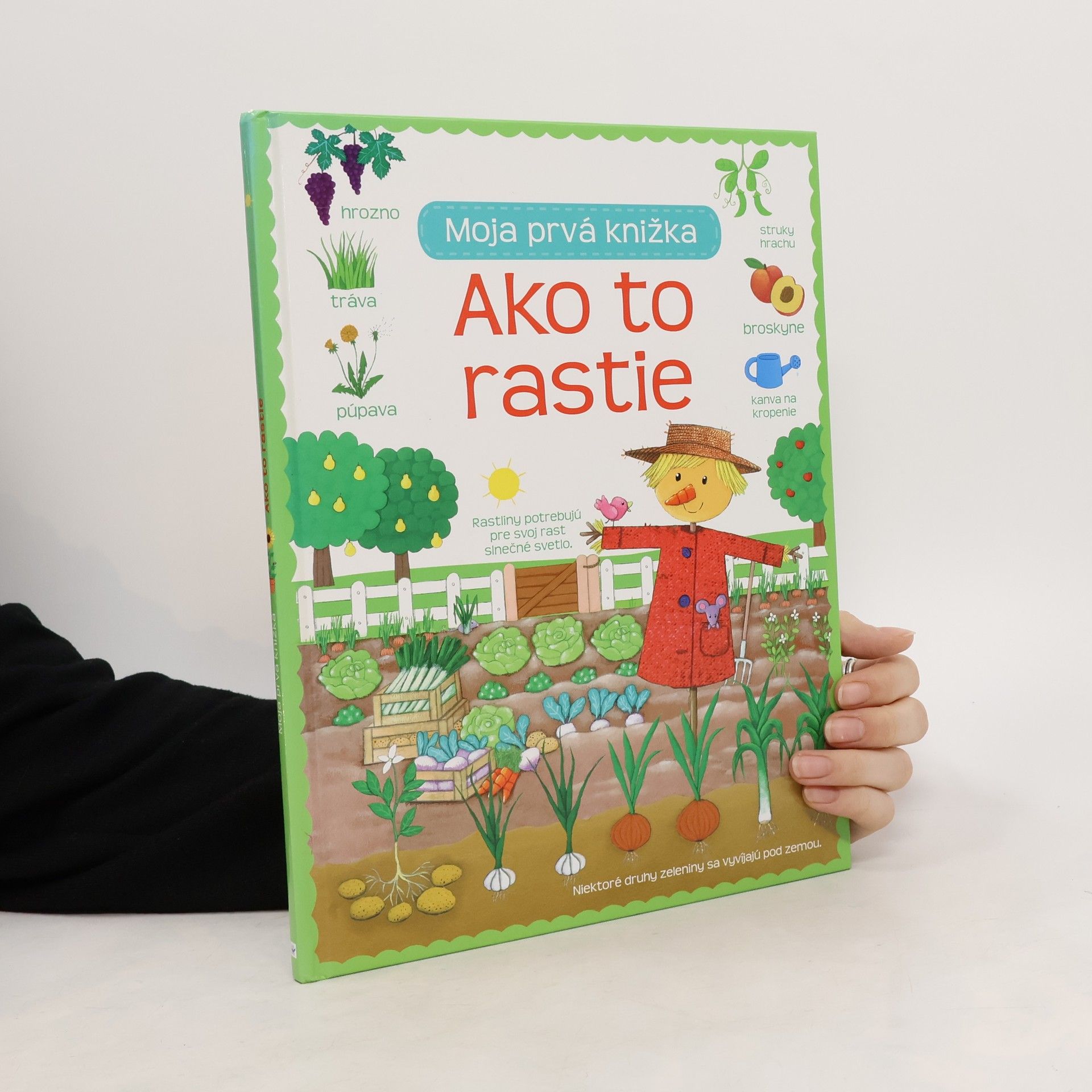 Autores varios Ako to rastie