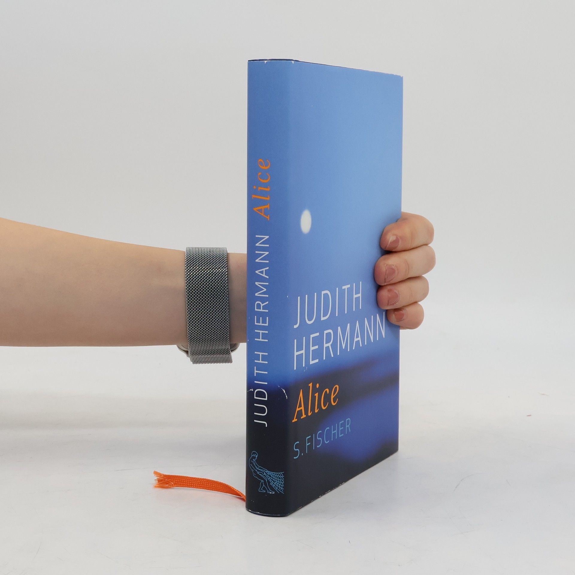 Judith Hermann Alice