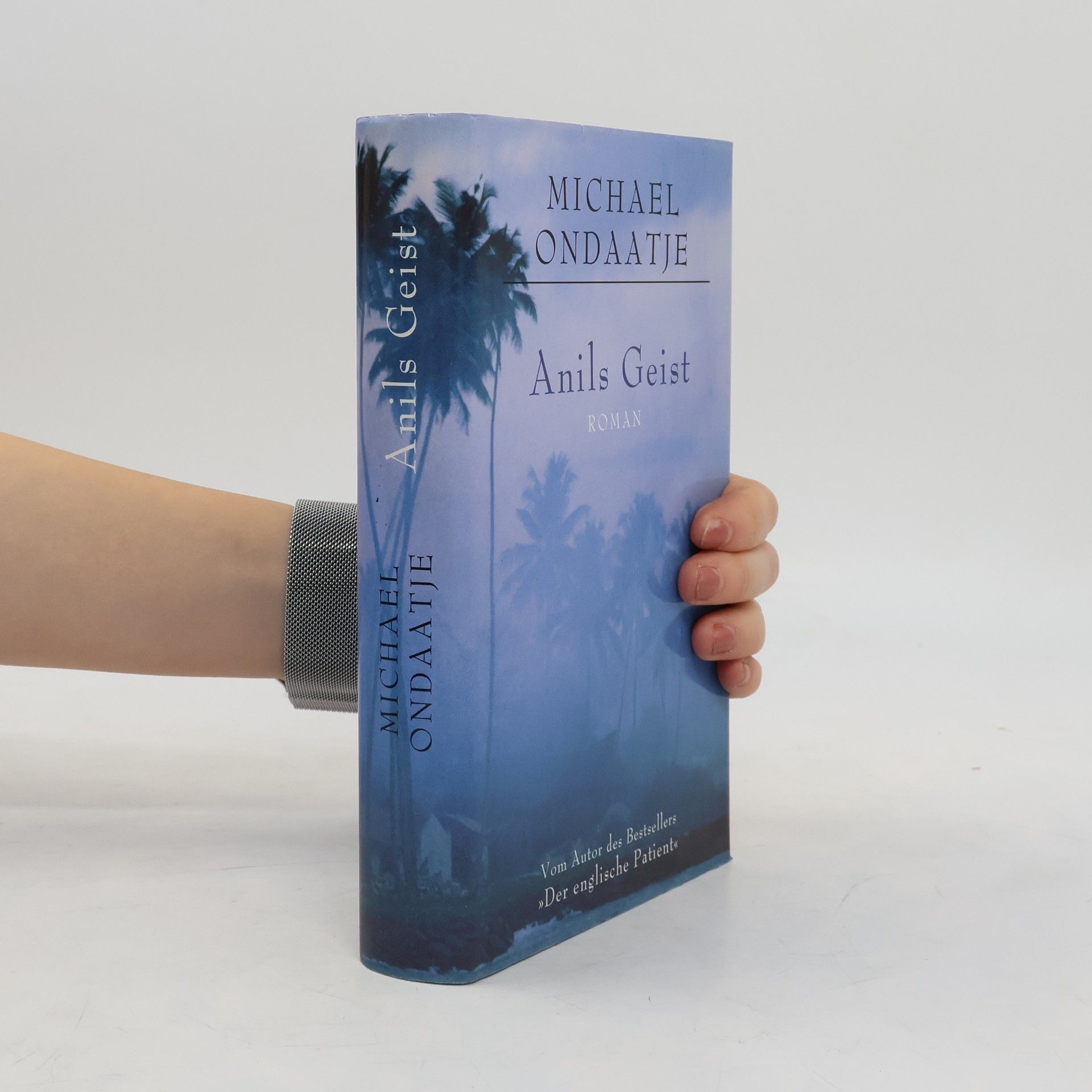 Michael Ondaatje Anils Geist