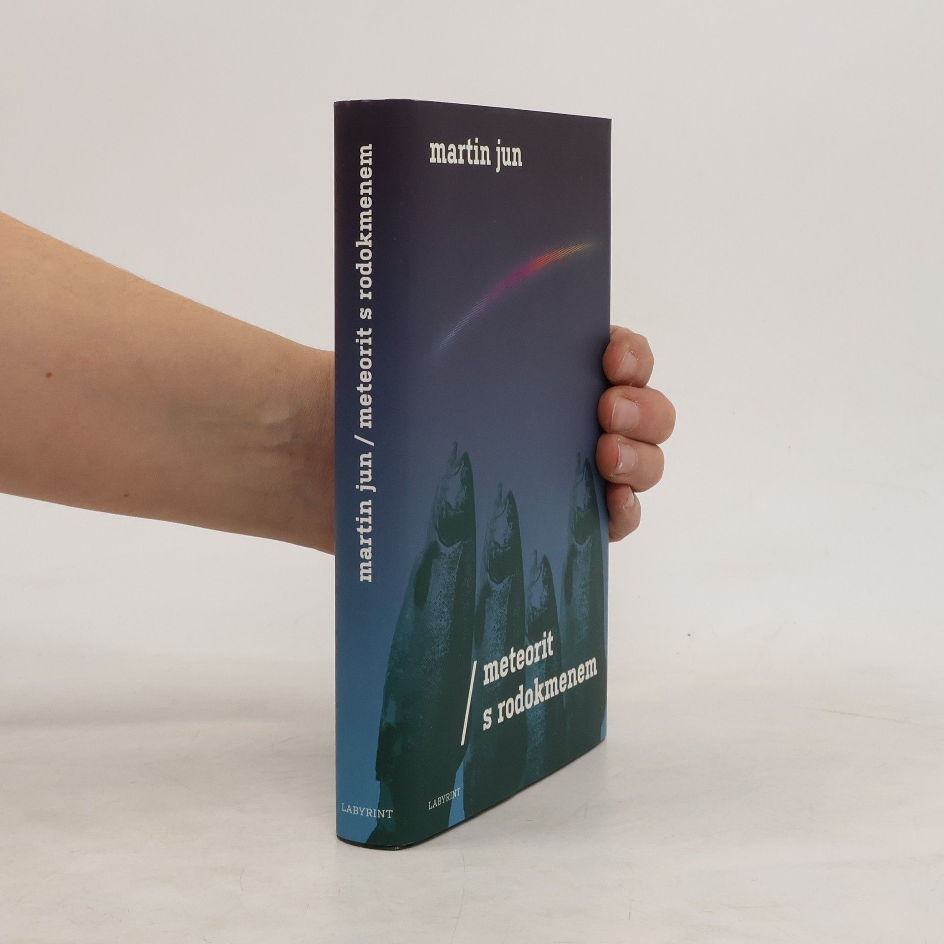 Martin Jun Meteorit s rodokmenem