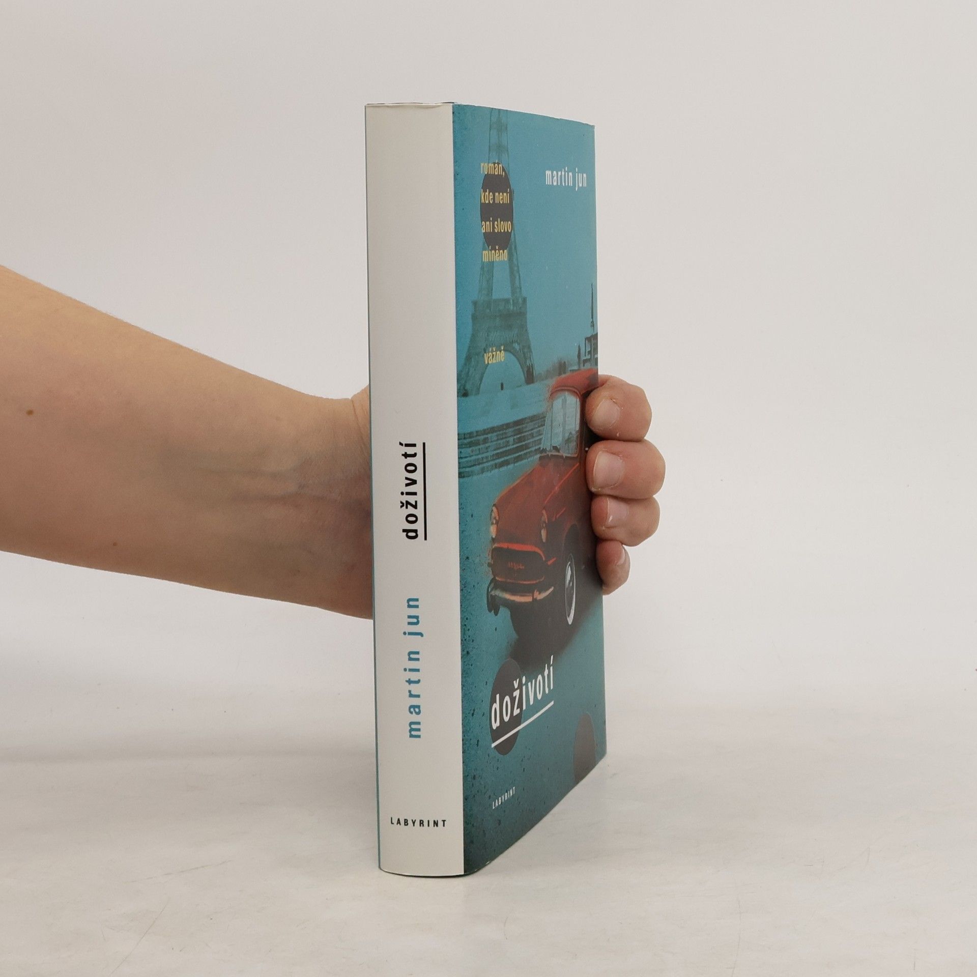 Doživotí : román, kde není ani slovo míněno vážně