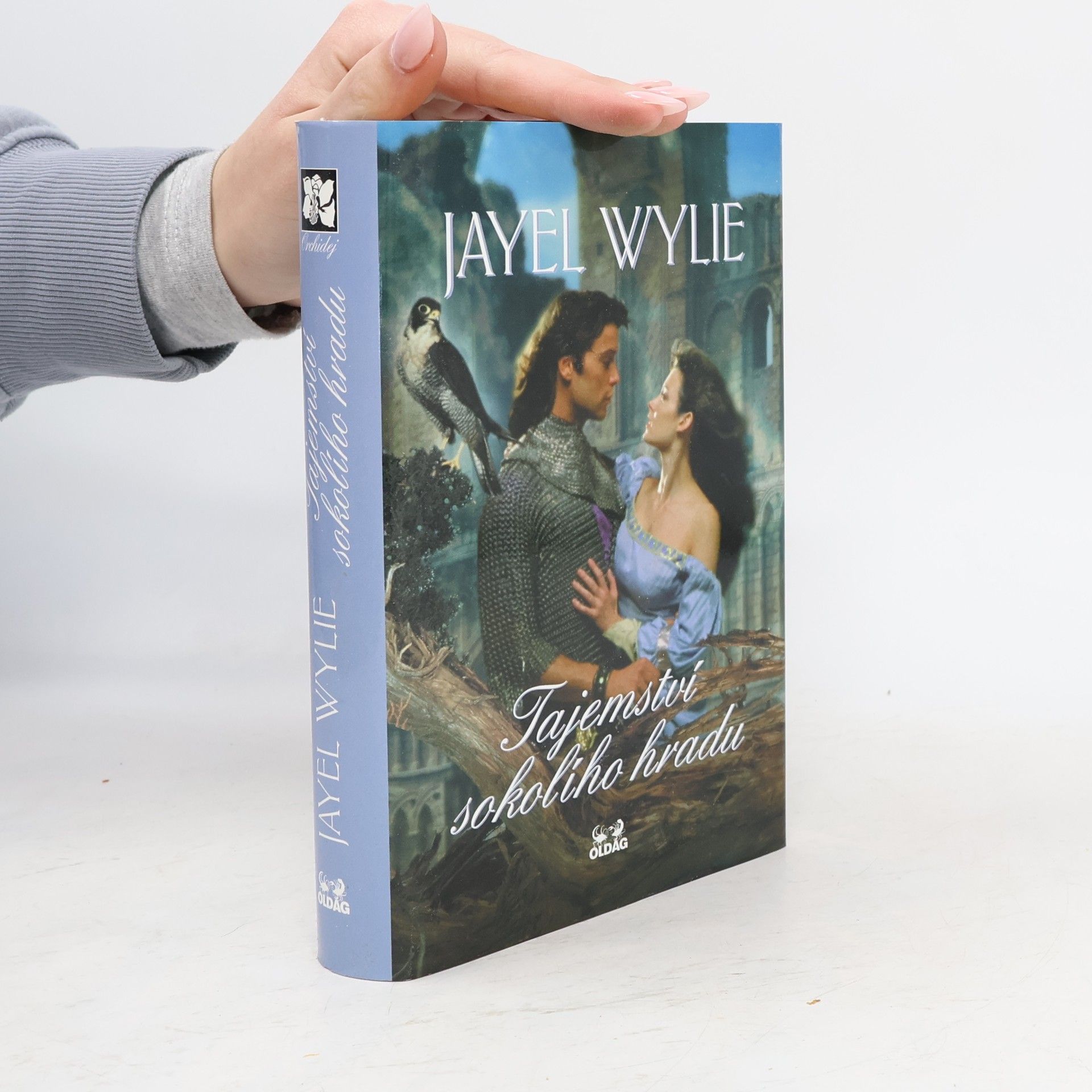 Jayel Wylie Tajemství sokolího hradu