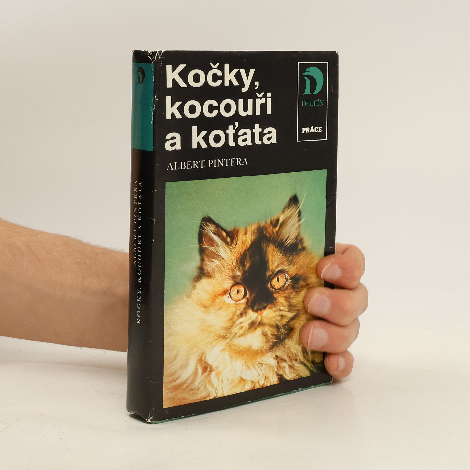 Albert Pintera Kočky, kocouři a koťata