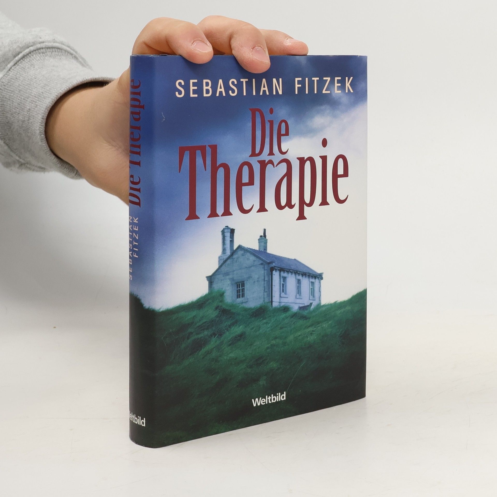 Sebastian Fitzek Die Therapie