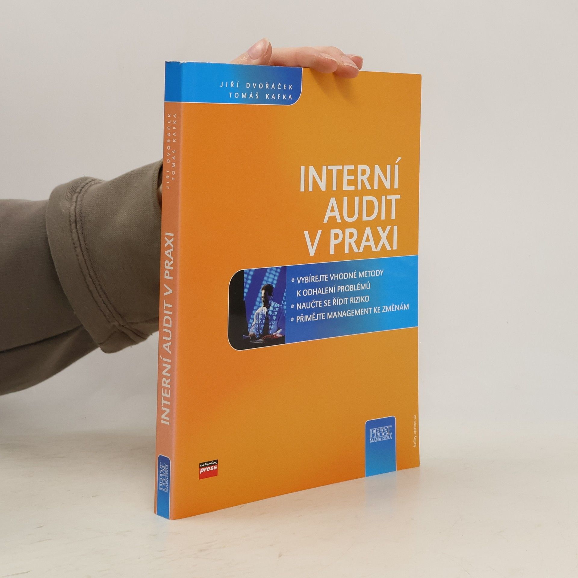 Interní audit v praxi