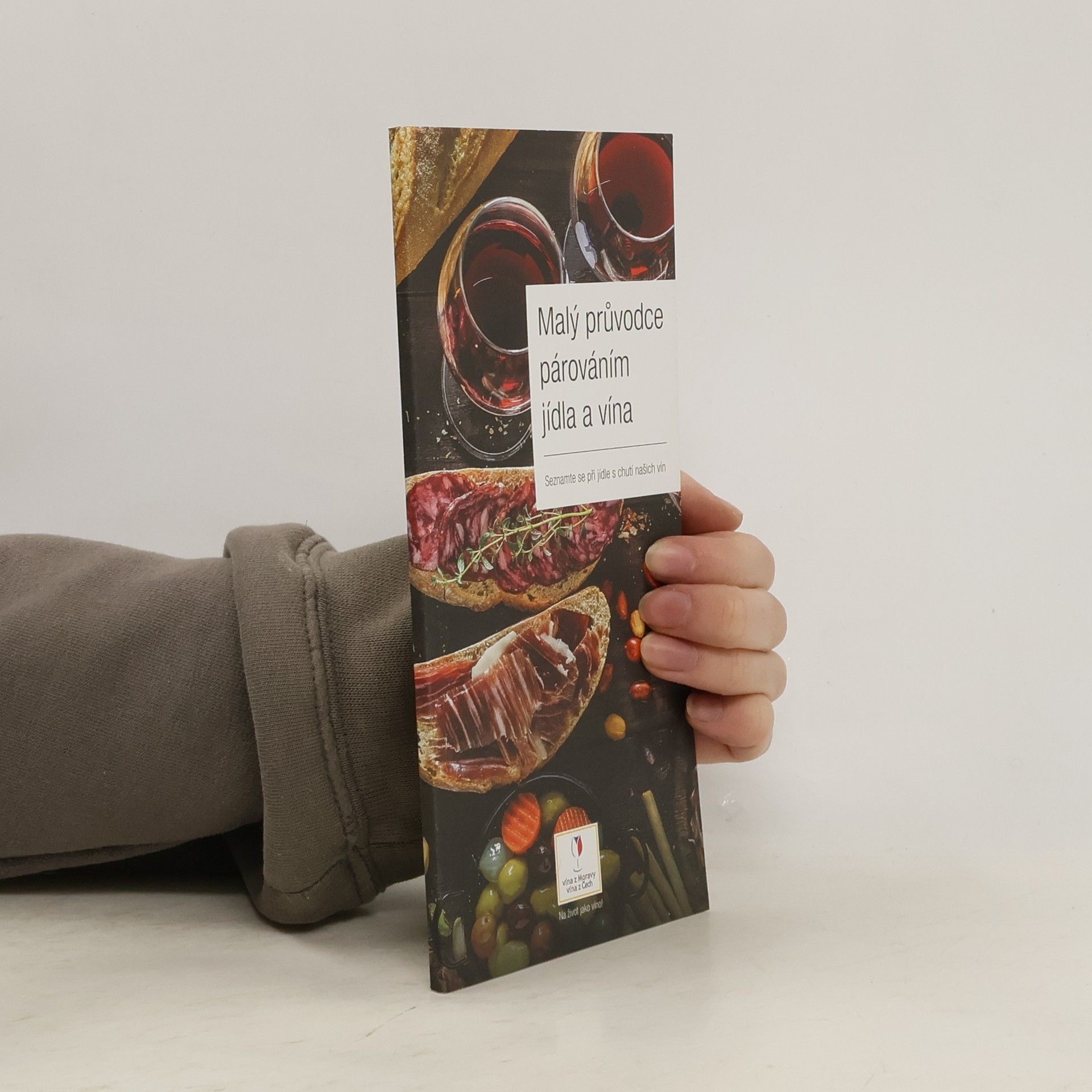 Kolektív autorov Malý průvodce párováním jídla a vína
