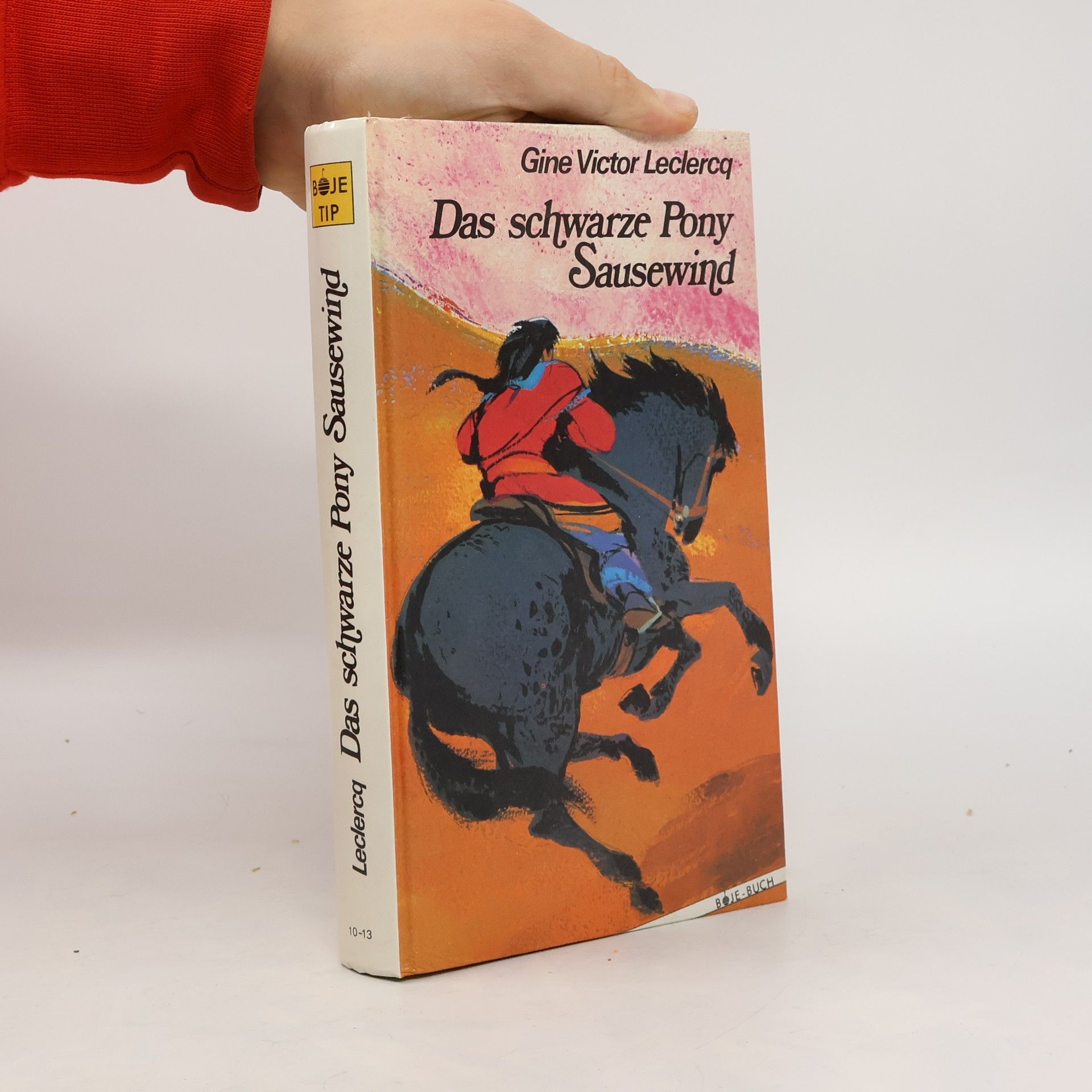 Gine Victor Leclercq BOJE TIP: Das schwarze Pony Sausewind