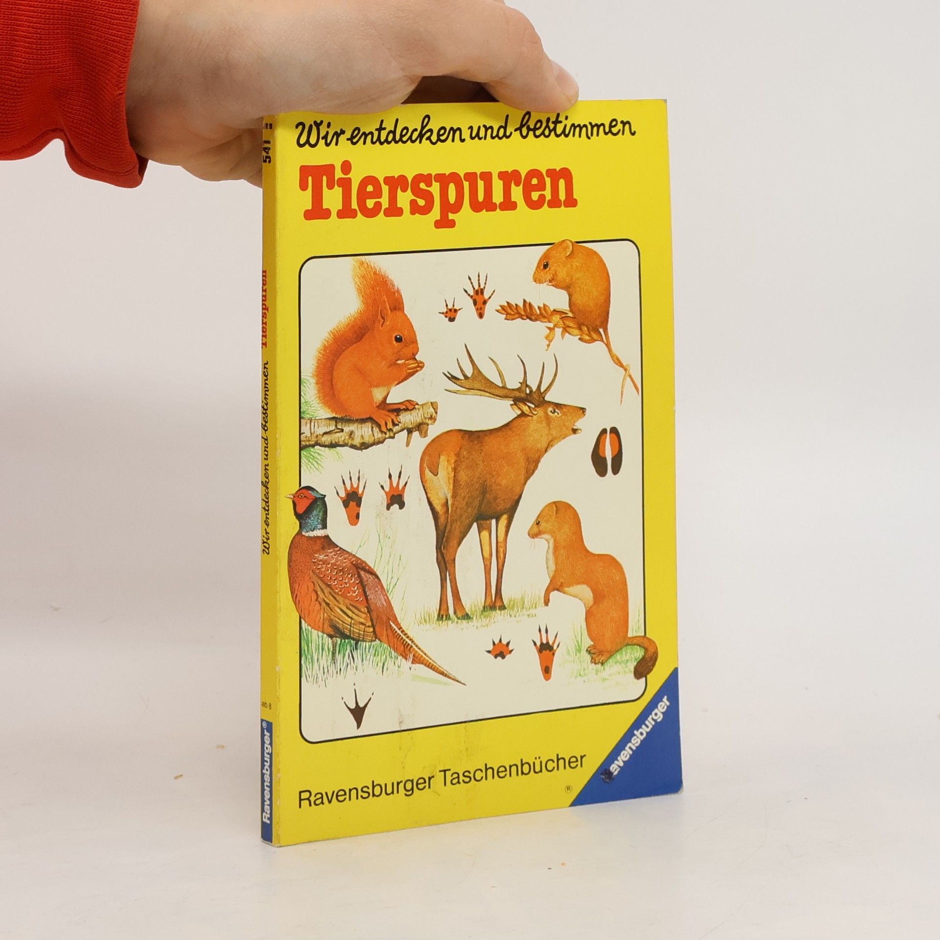 Chris Shields Wir entdecken und bestimmen