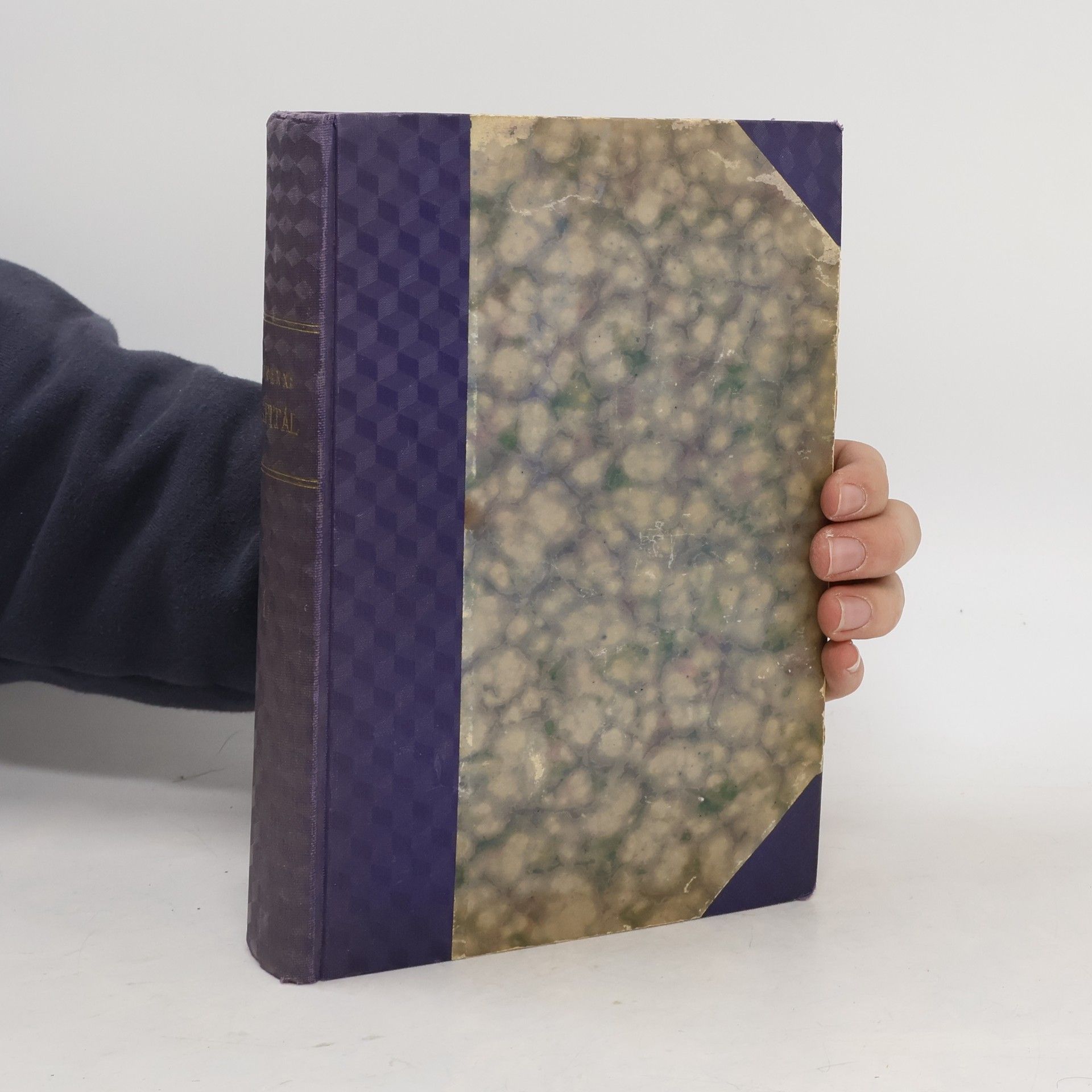 Karl Marx Kapitál kritika politické ekonomie 8