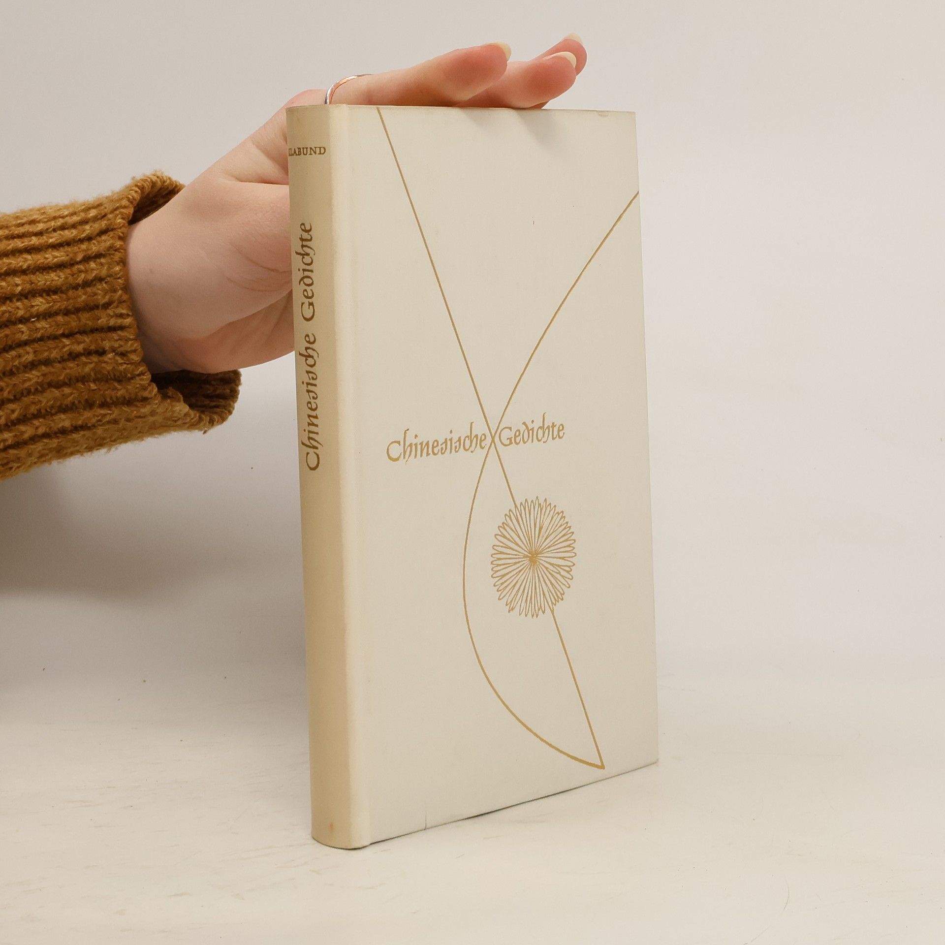 AA.VV. Chinesische Gedichte
