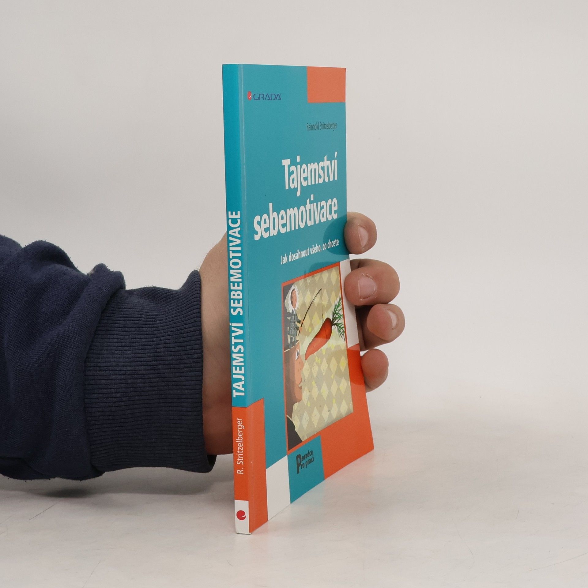 Reinhold Stritzelberger Tajemství sebemotivace. Jak dosáhnout všeho, co chcete