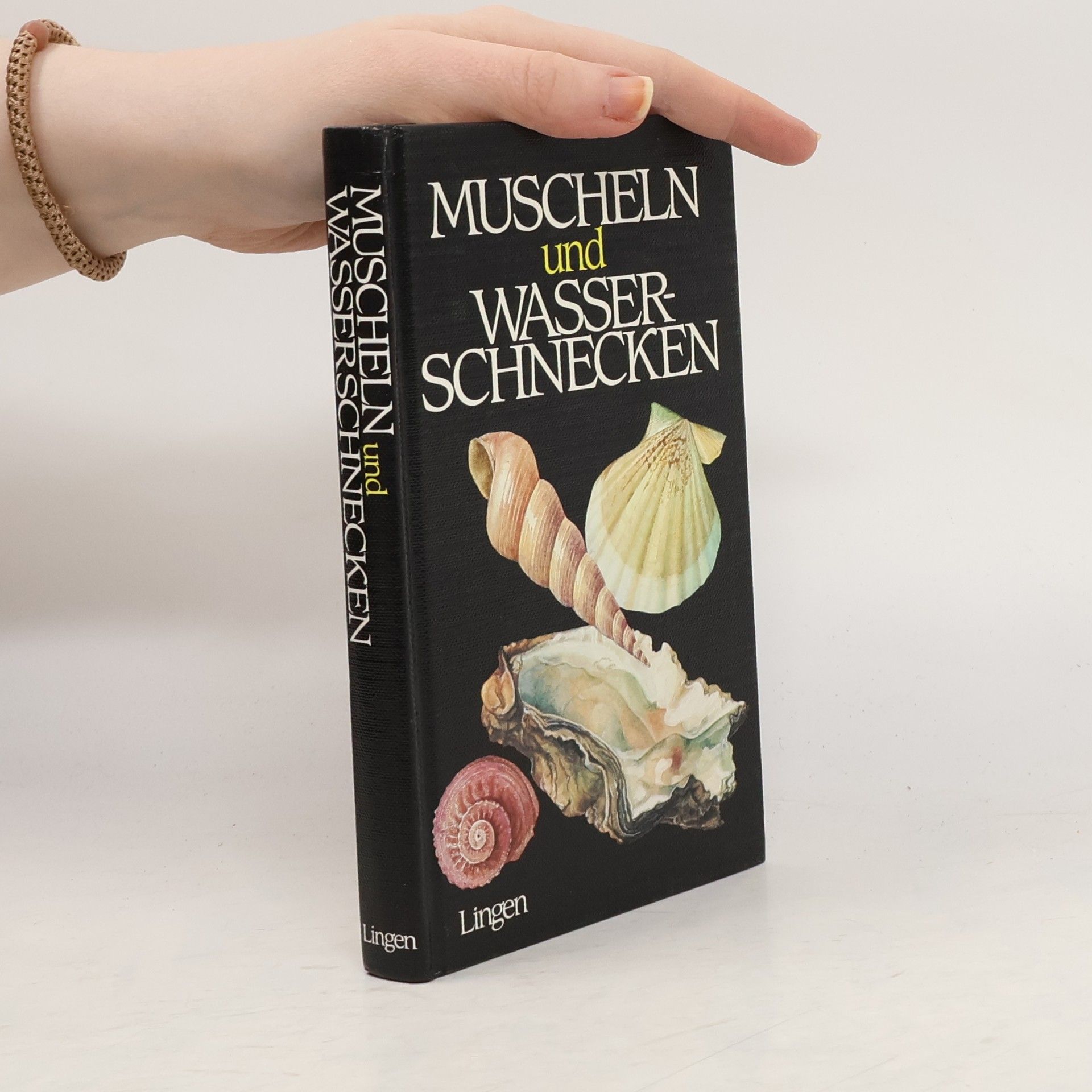 Muscheln und Wasserschnecken