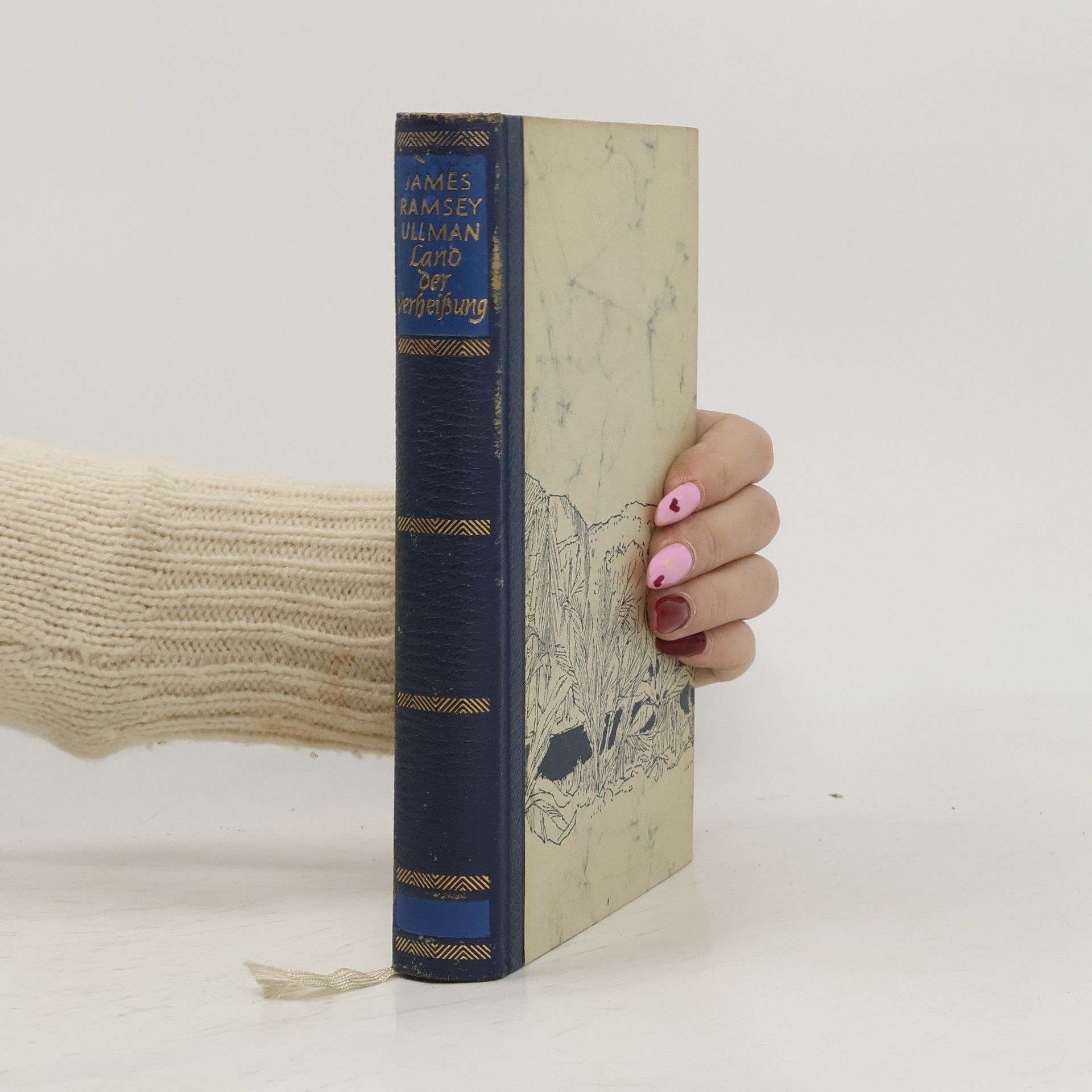 Land der Verheissung