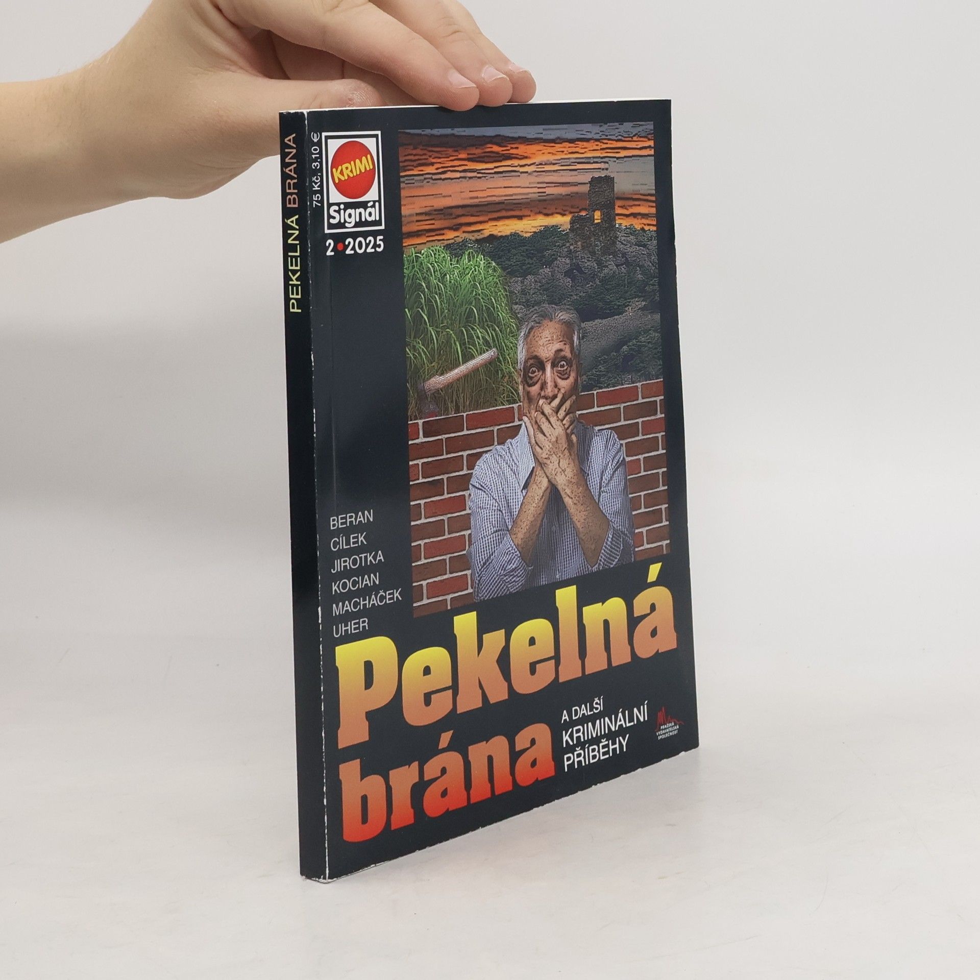 Collectif d'auteurs Pekelná brána a další kriminální příběhy