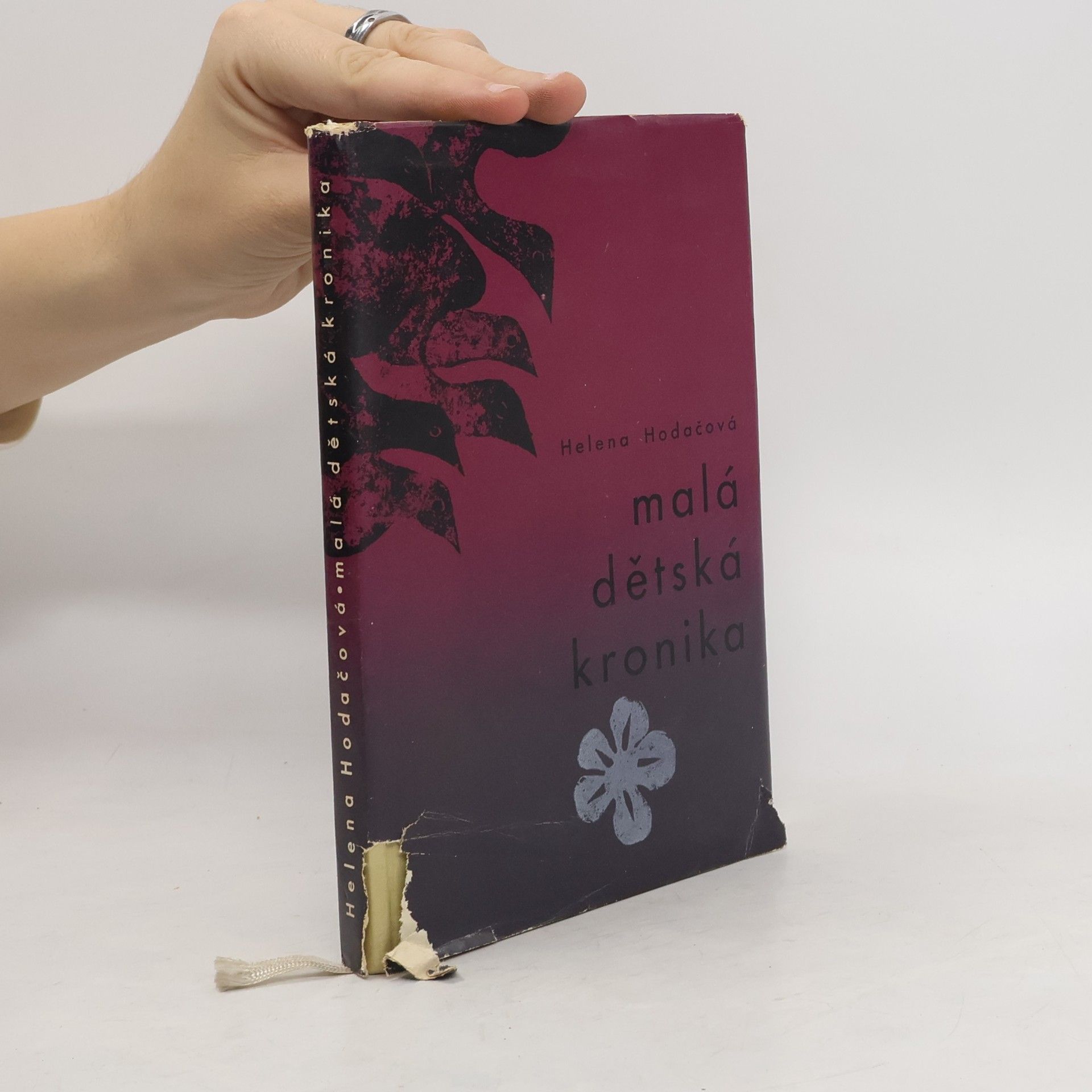 Helena Hodačová Malá dětská kronika