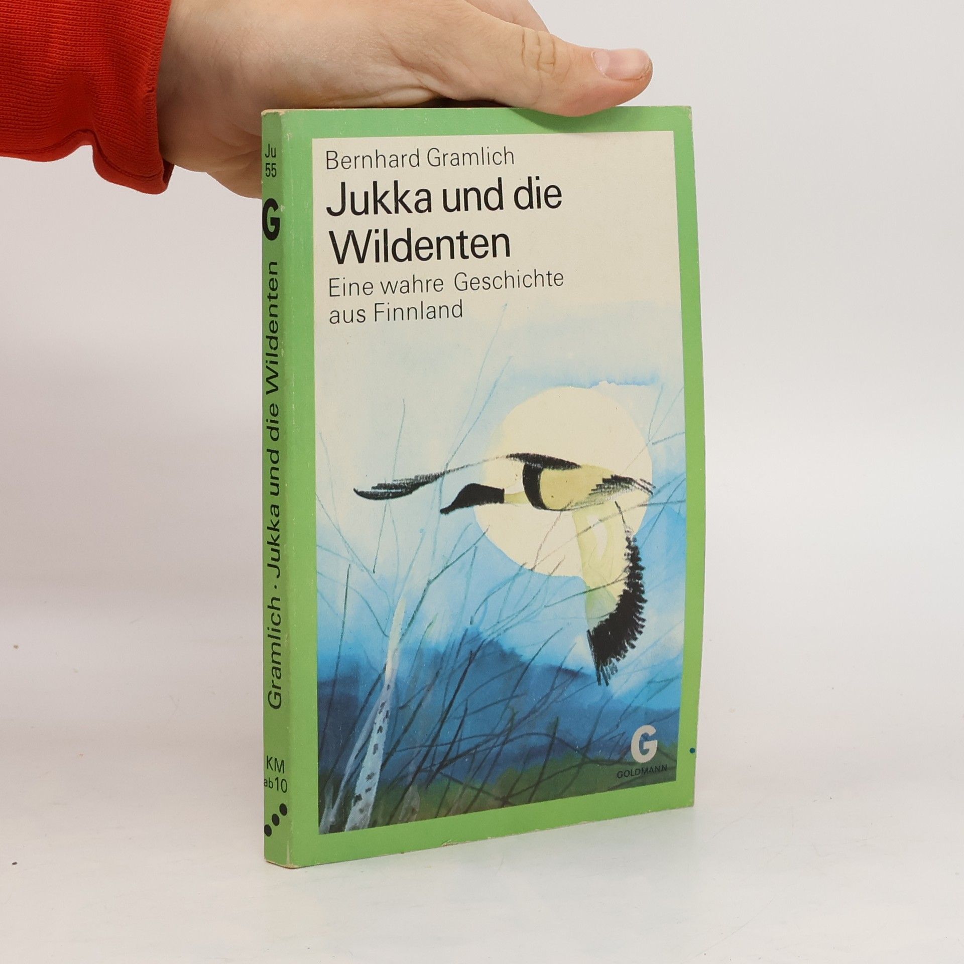 Jukka und die Wildenten