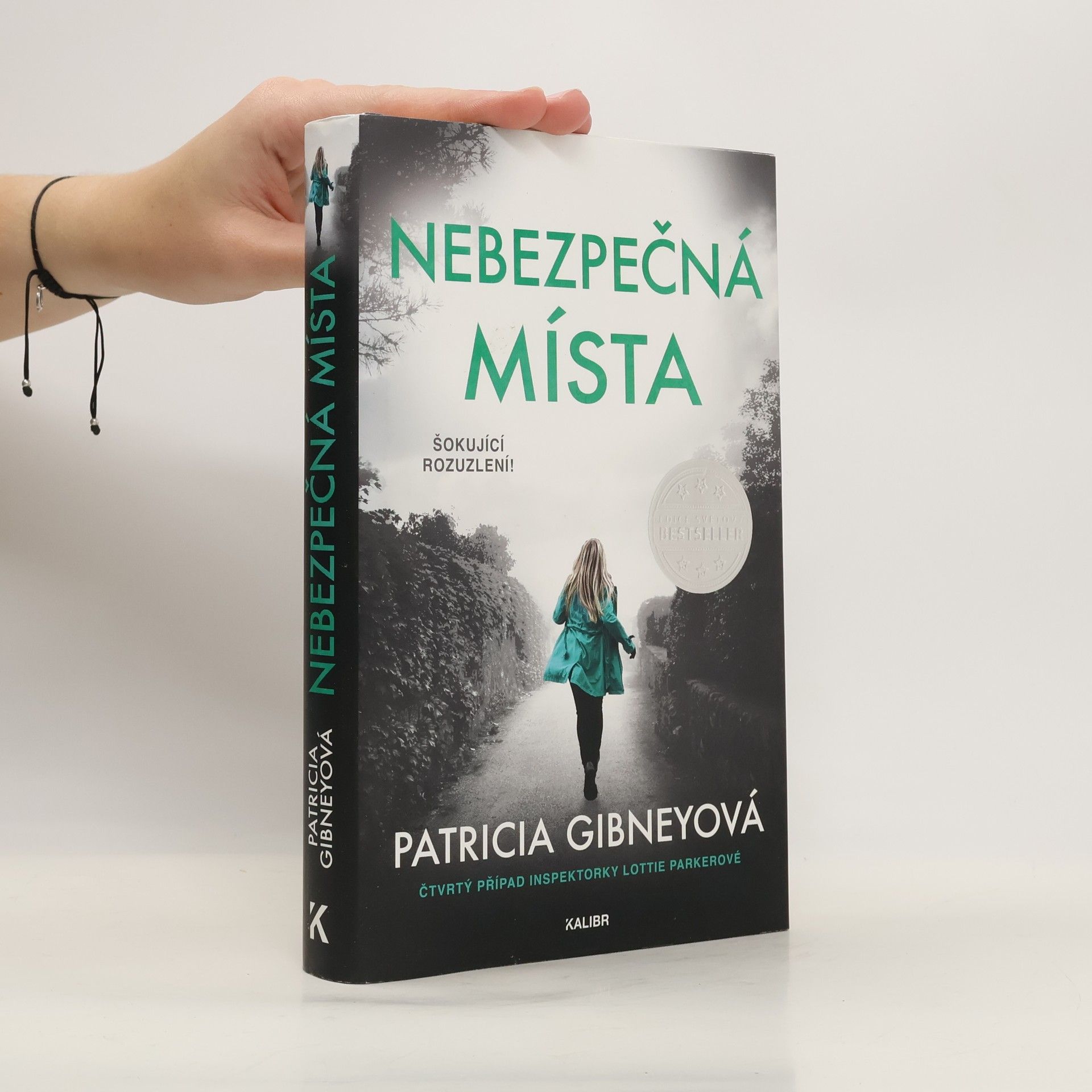 Patricia Gibney Nebezpečná místa