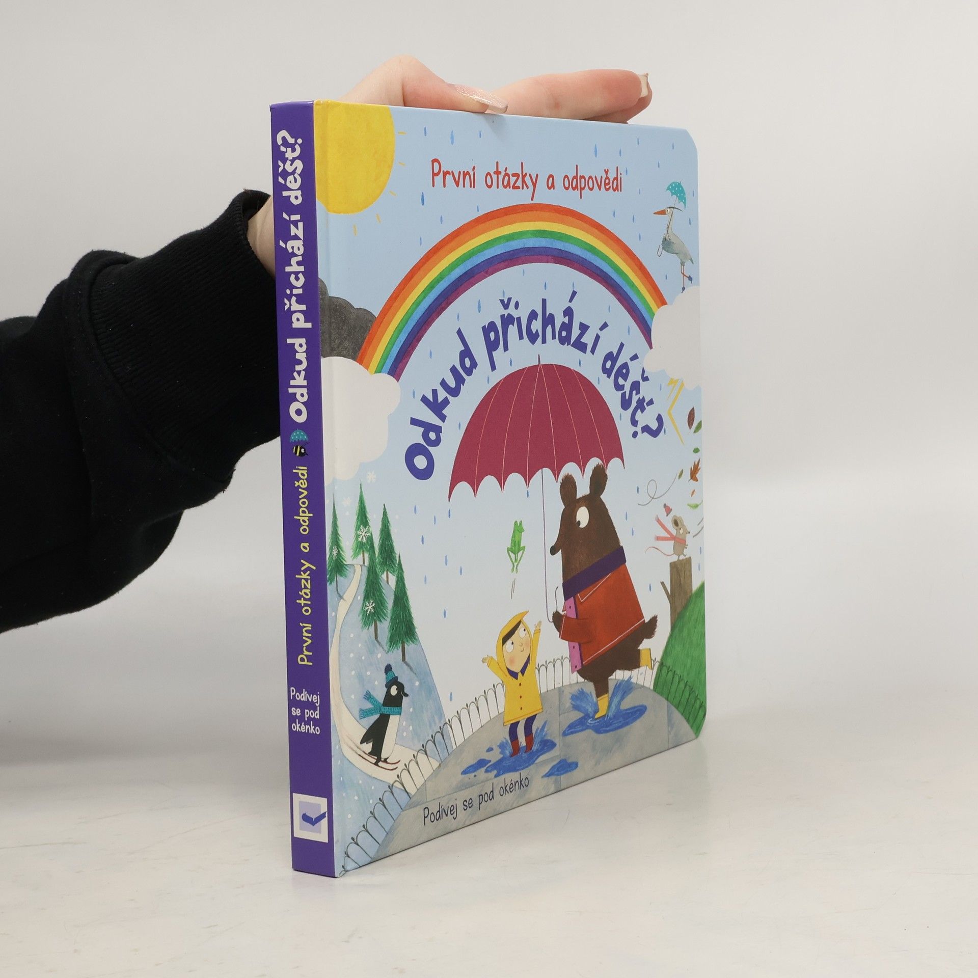 Christine Pym Odkud přichází déšť?