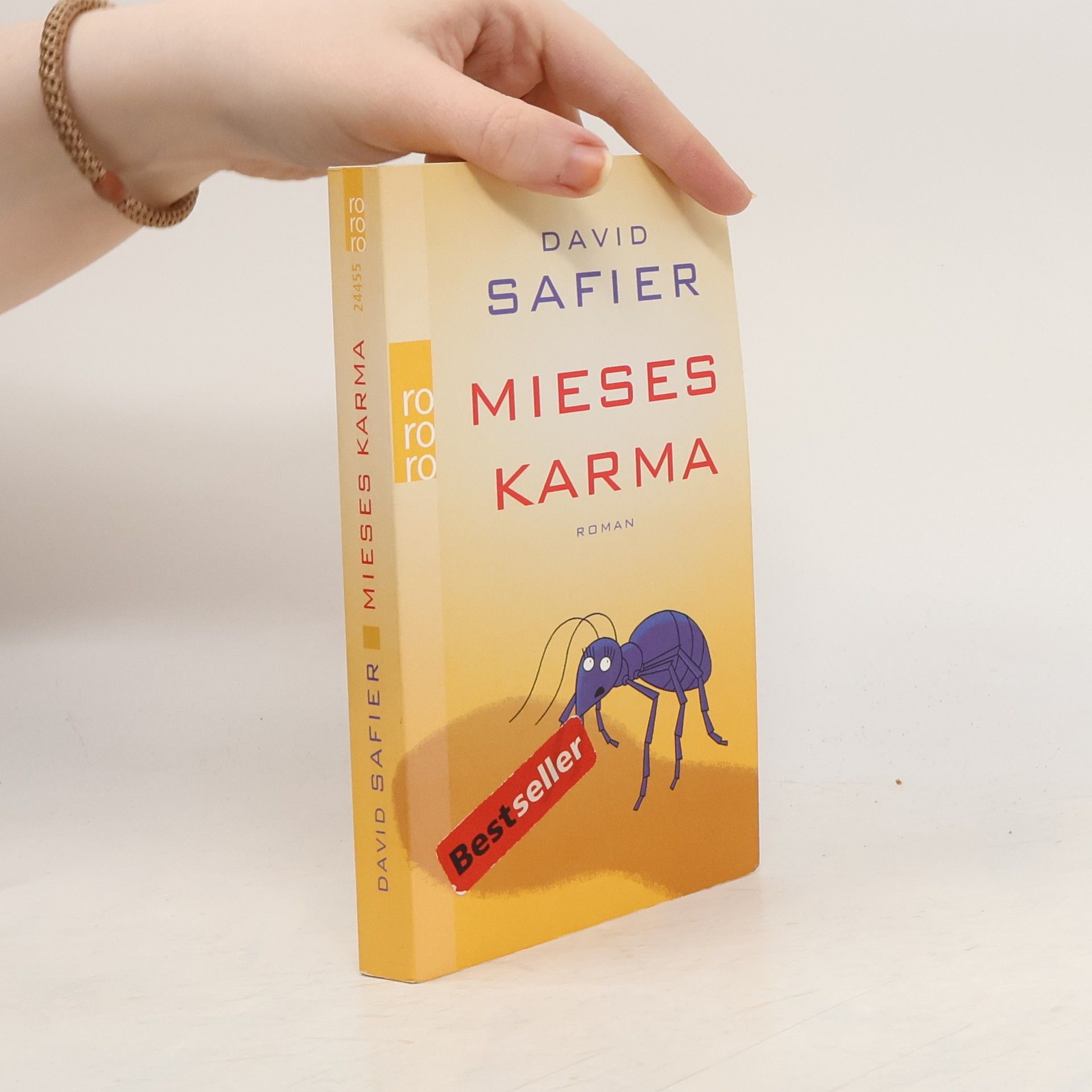 David Safier Mieses Karma