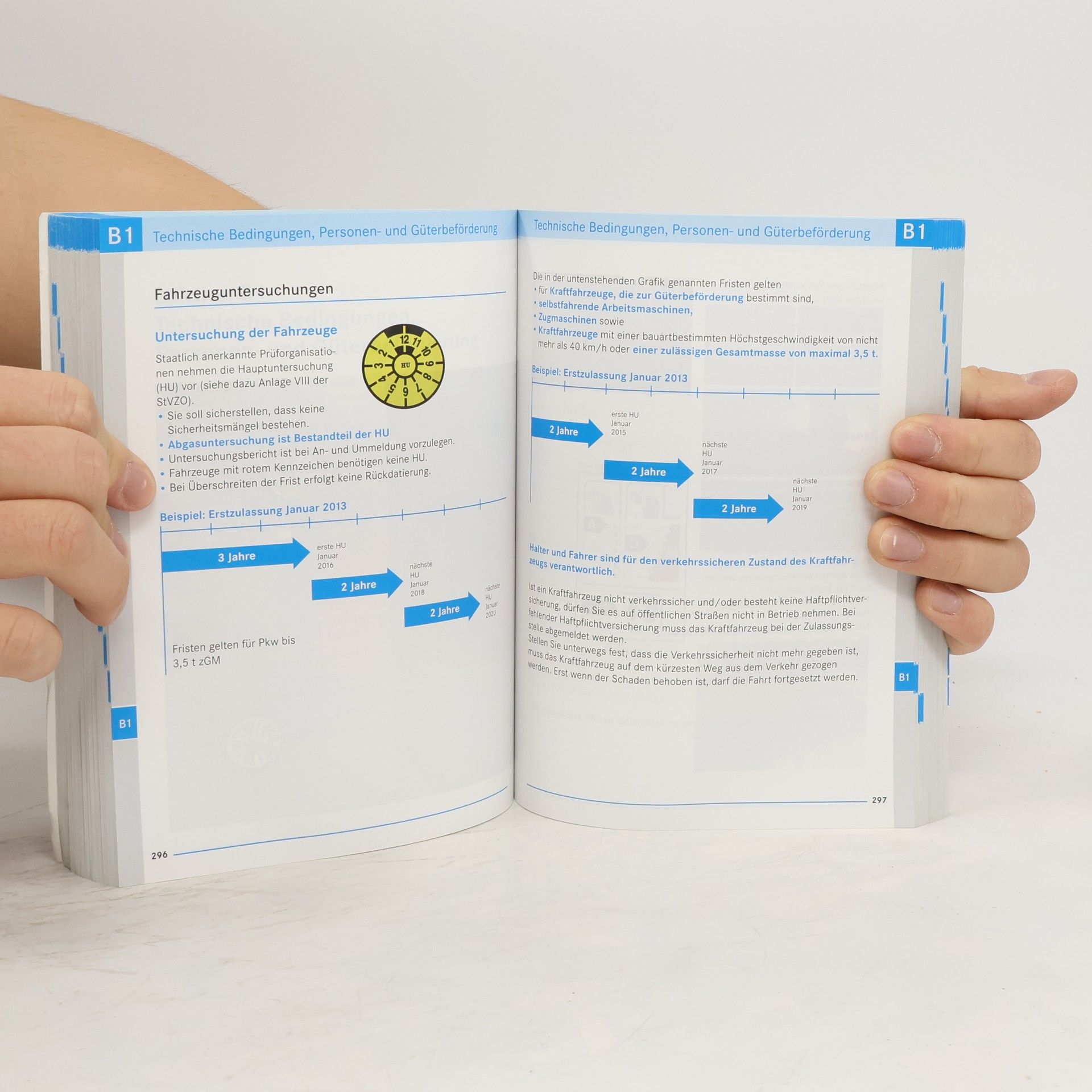 Autorenkollektiv Das große Fahrschulbuch