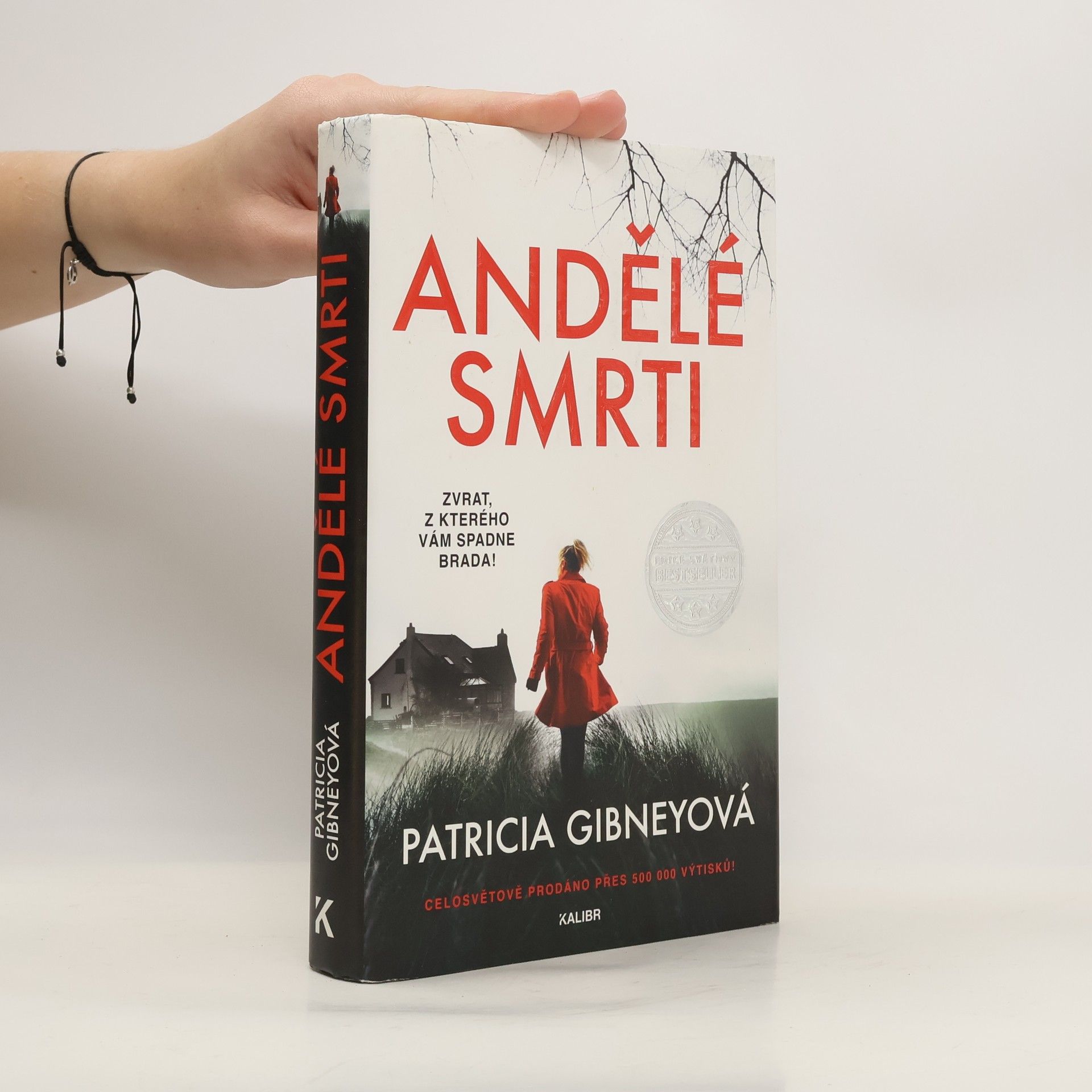 Patricia Gibney Andělé smrti