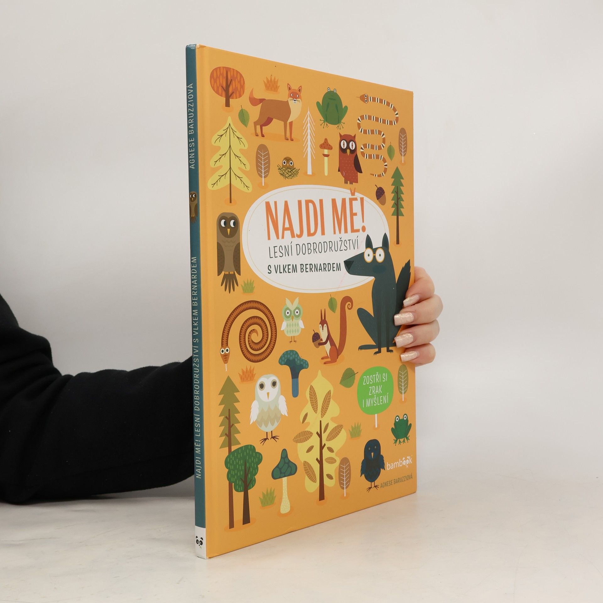 Agnese Baruzzi Najdi mě! Lesní dobrodružství s vlkem Bernardem