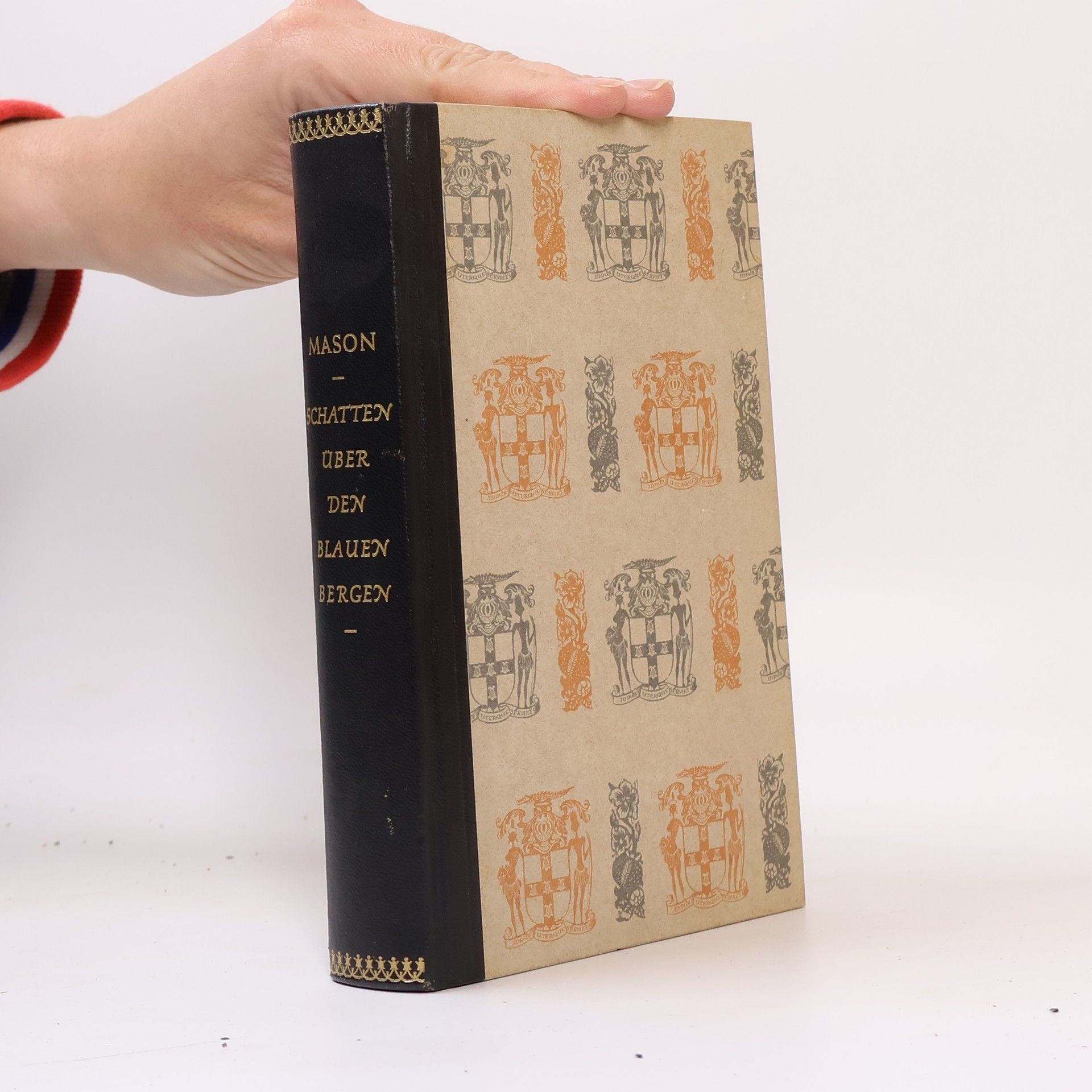 Richard Podaný Schatten über den Blauen Bergen