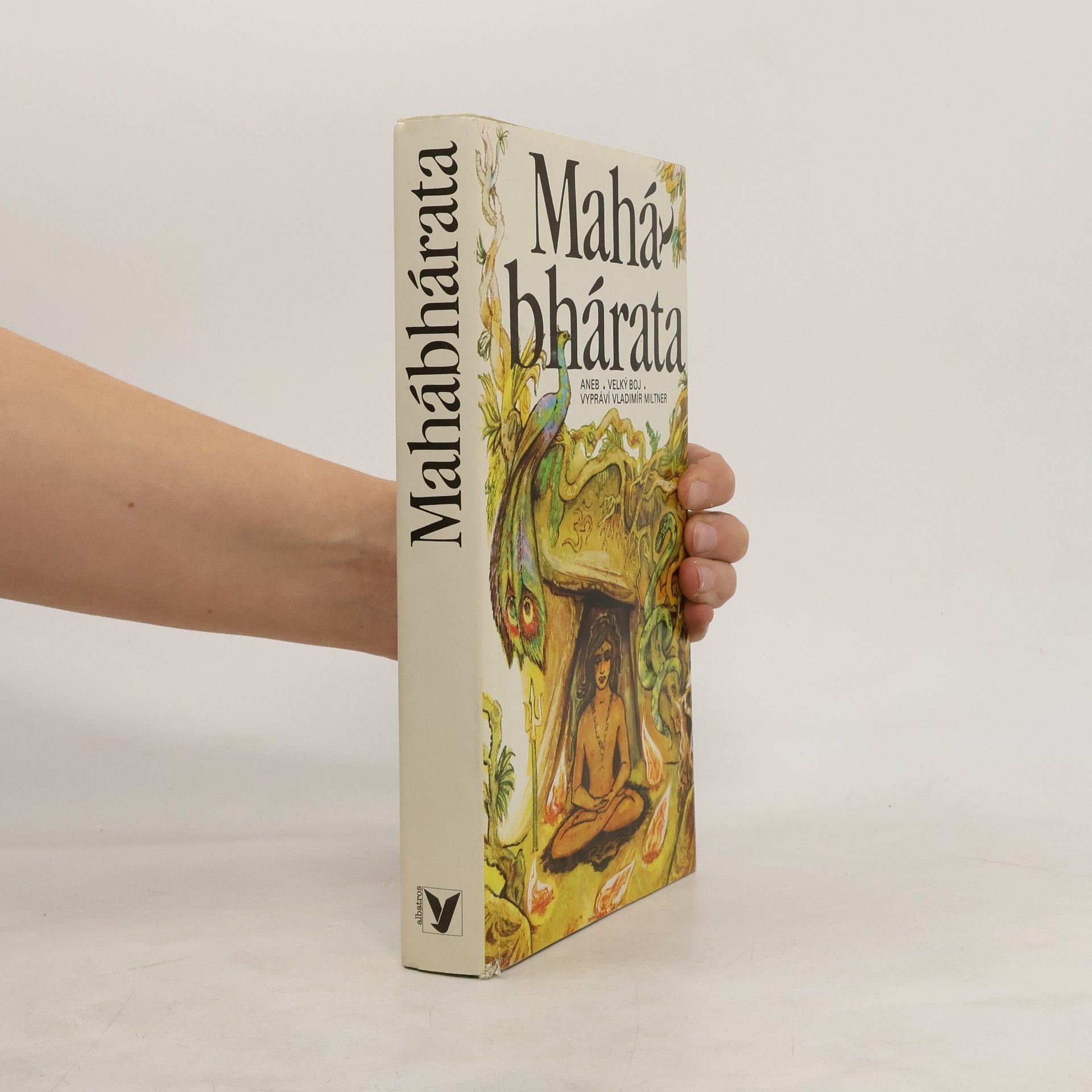 Jaromír Skřivánek Mahábhárata aneb Velký boj