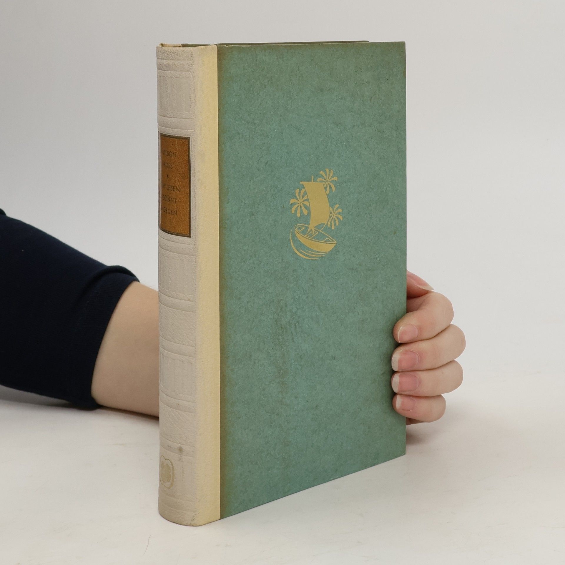 Nancy Wilson Ross Das Leben beginnt Morgen