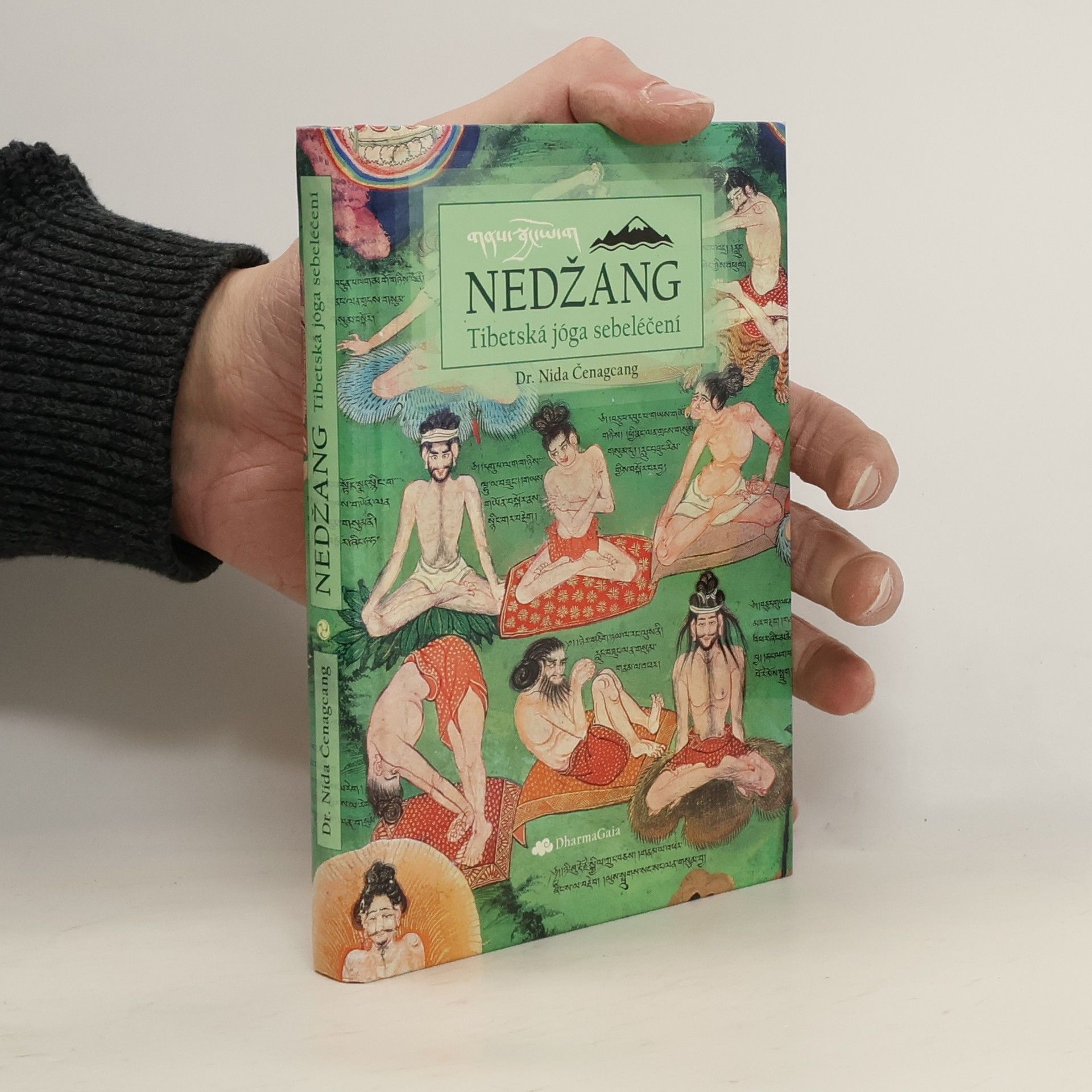 Nida Čenagcang Nedžang. Tibetská jóga sebeléčení