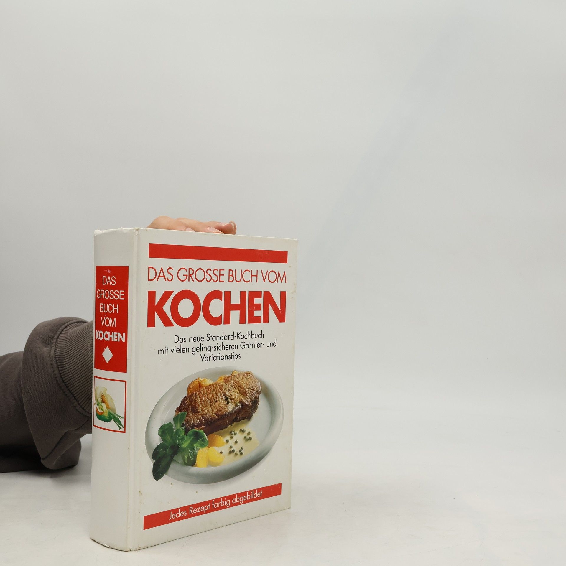 Collectif d'auteurs Das Grosse buch vom kochen