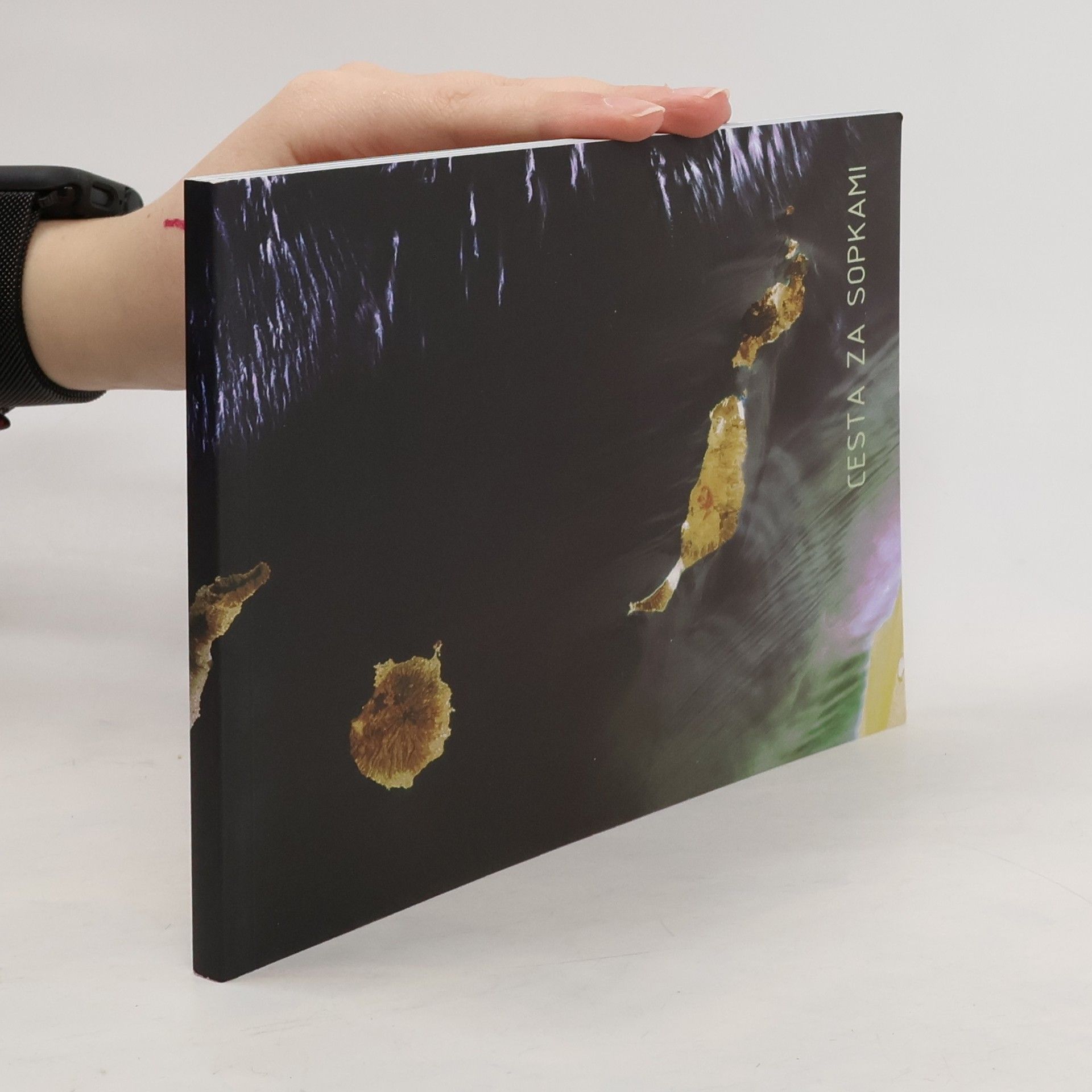 Dan Merta Cesta za sopkami