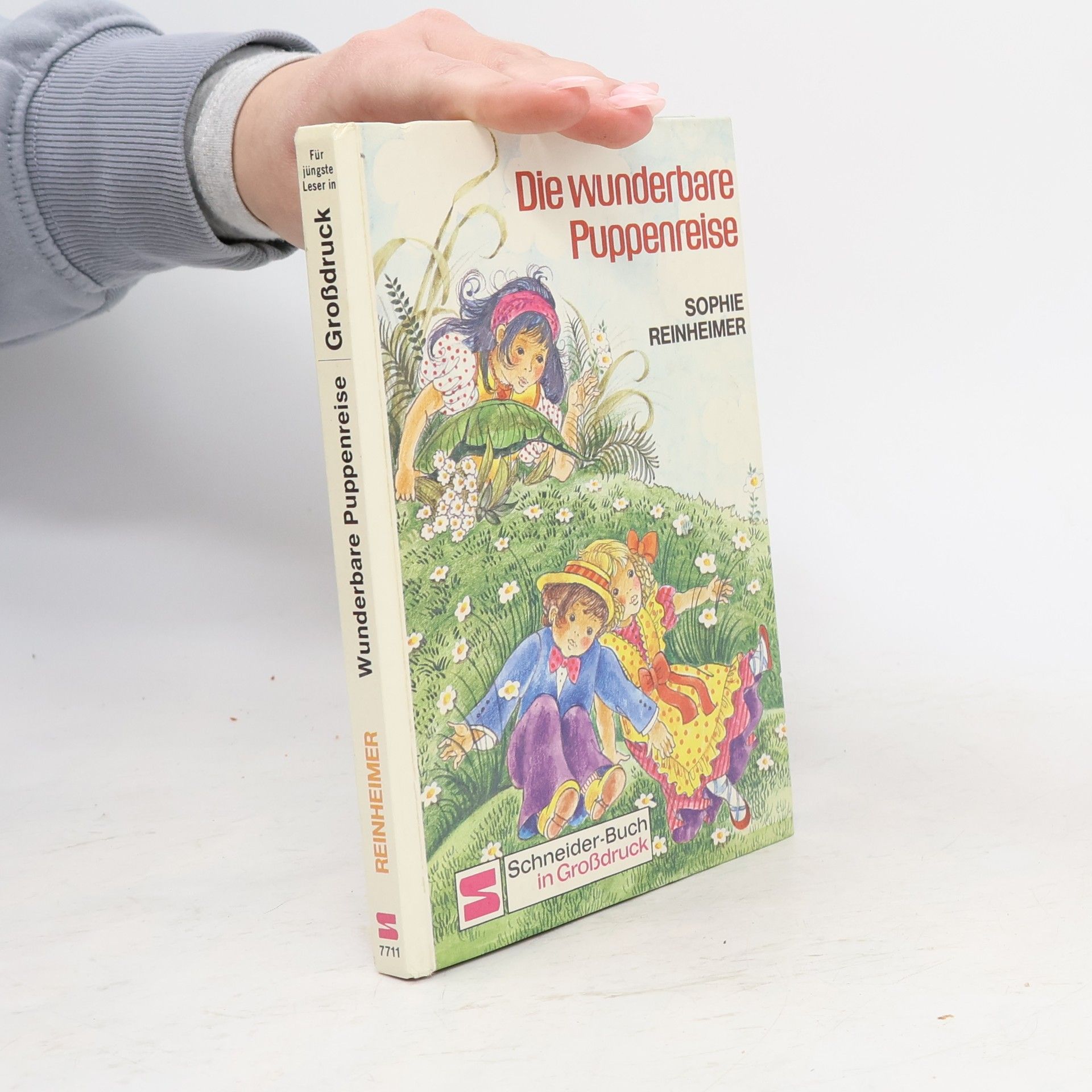 Sophie Reinheimer Die wunderbare Puppenreise - Für jüngste Leser in Großdruck