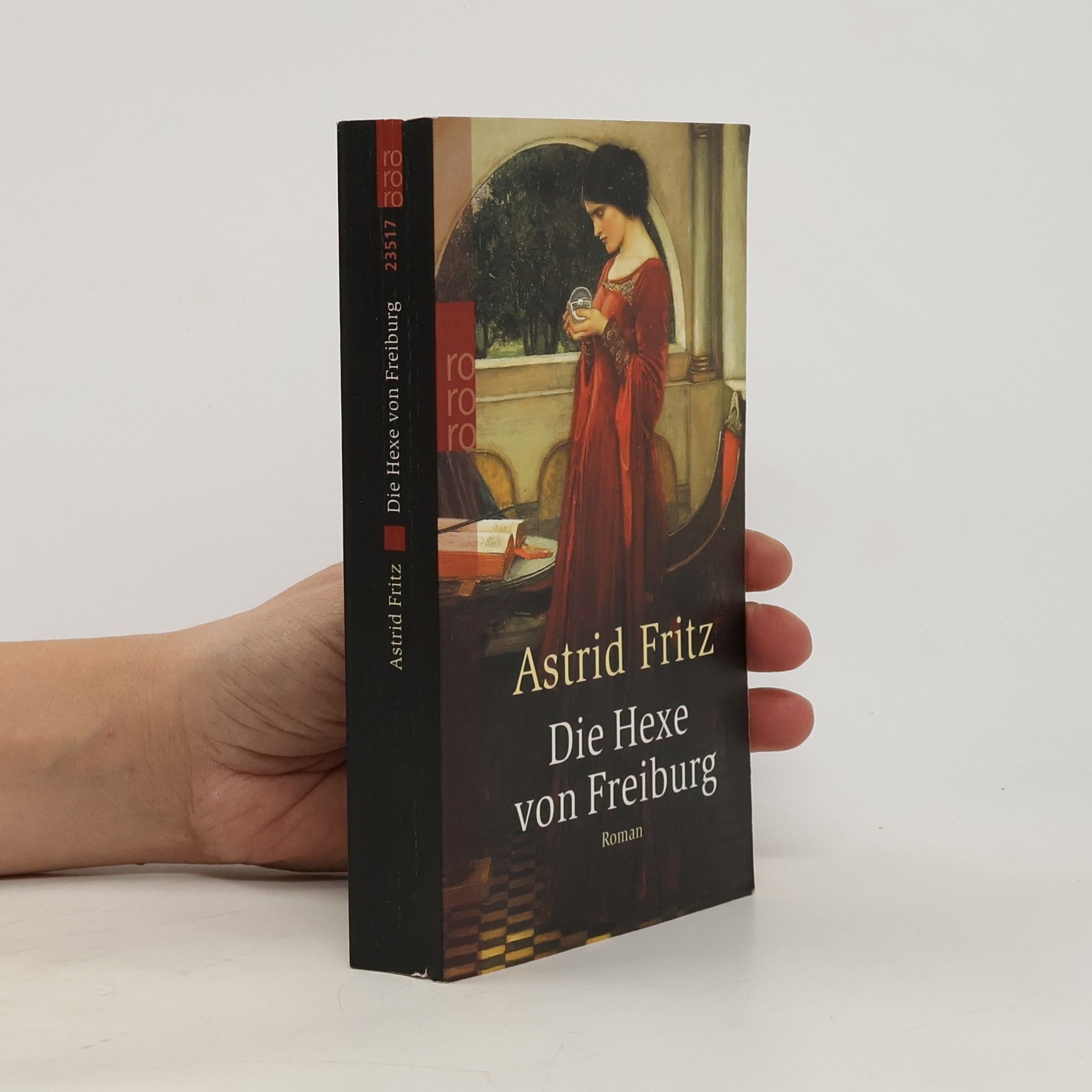 Astrid Fritz Die Hexe von Freiburg