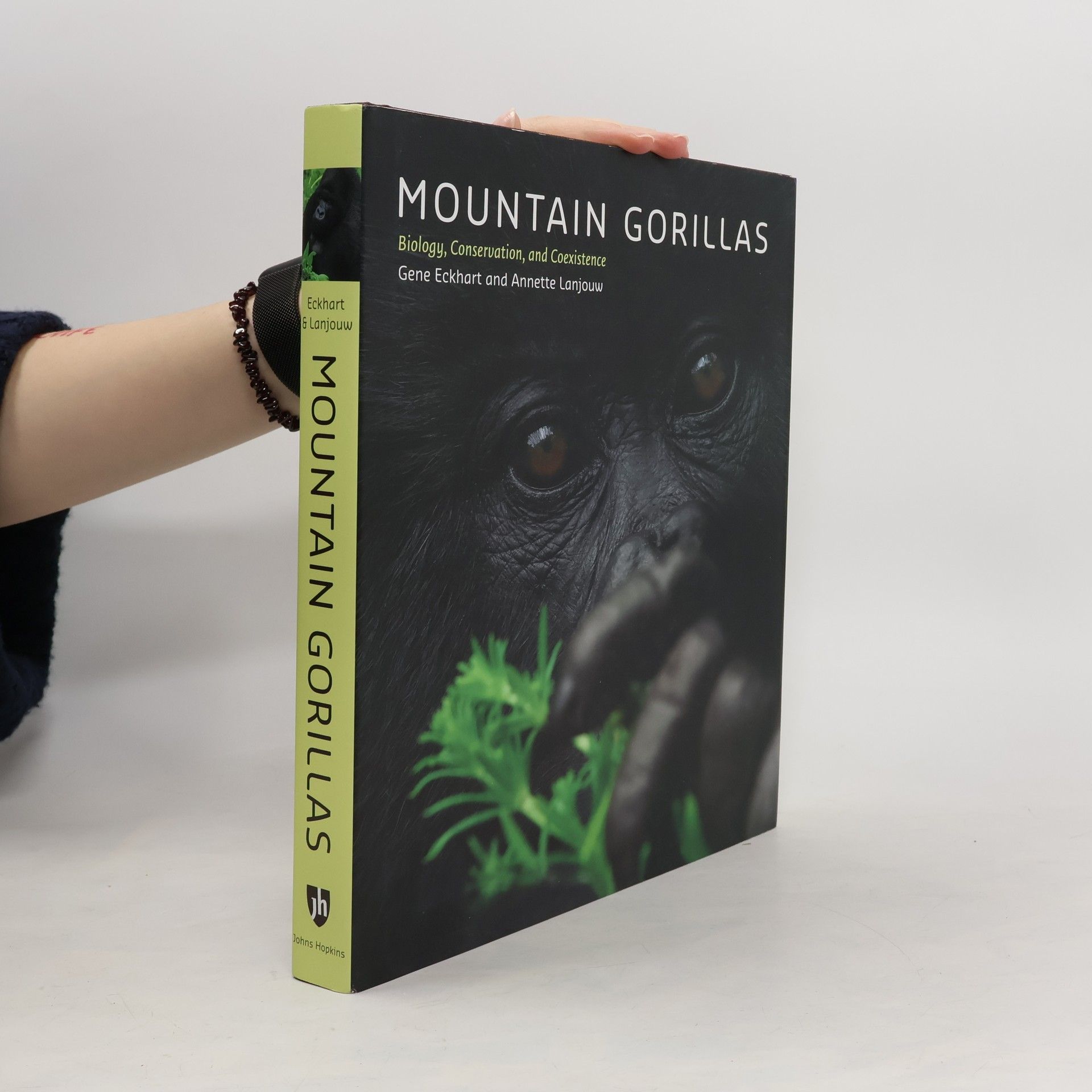 Gene Eckhart Mountain Gorillas