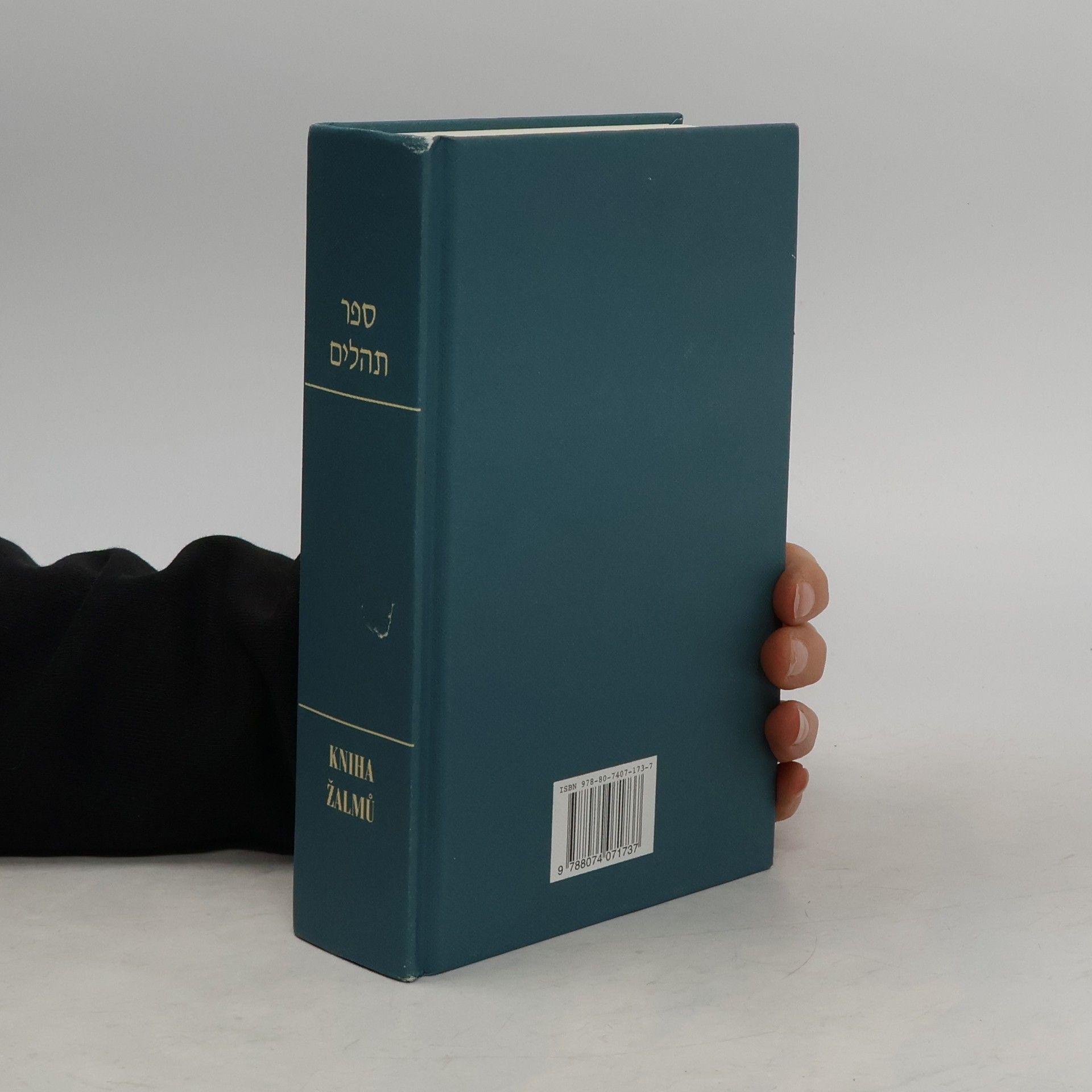 Kolektív autorov Kniha žalmů s Rašiho výkladem