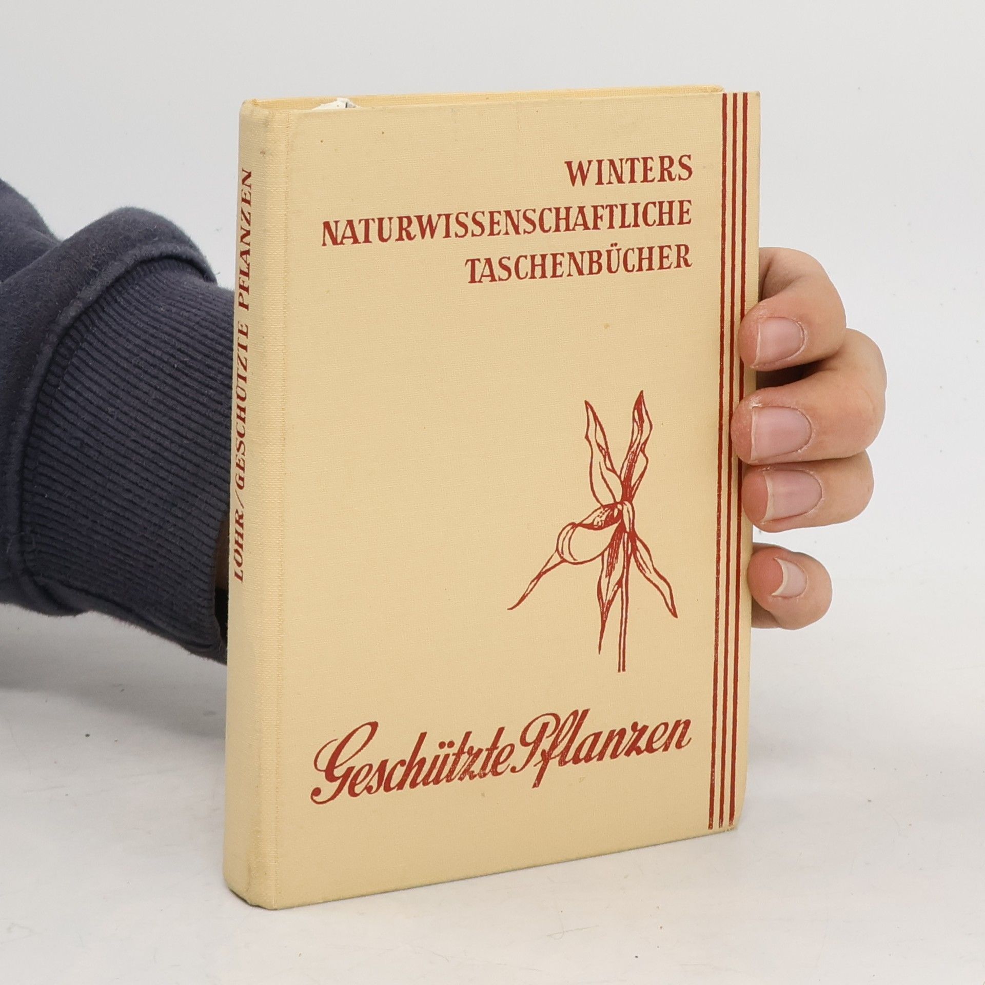 Autorenkollektiv Geschützte pflanzen