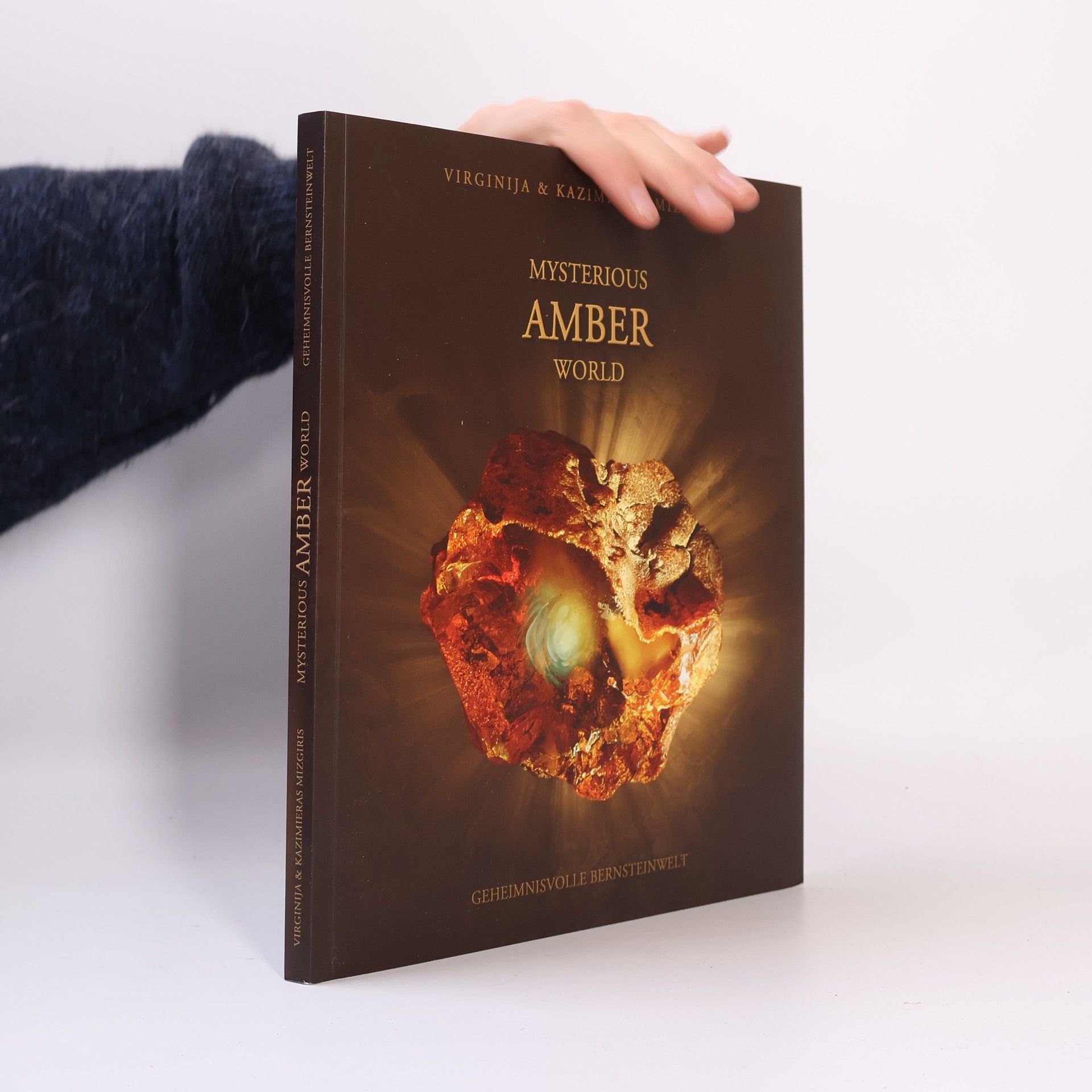 Virginija Mizgiris Mysterious Amber World